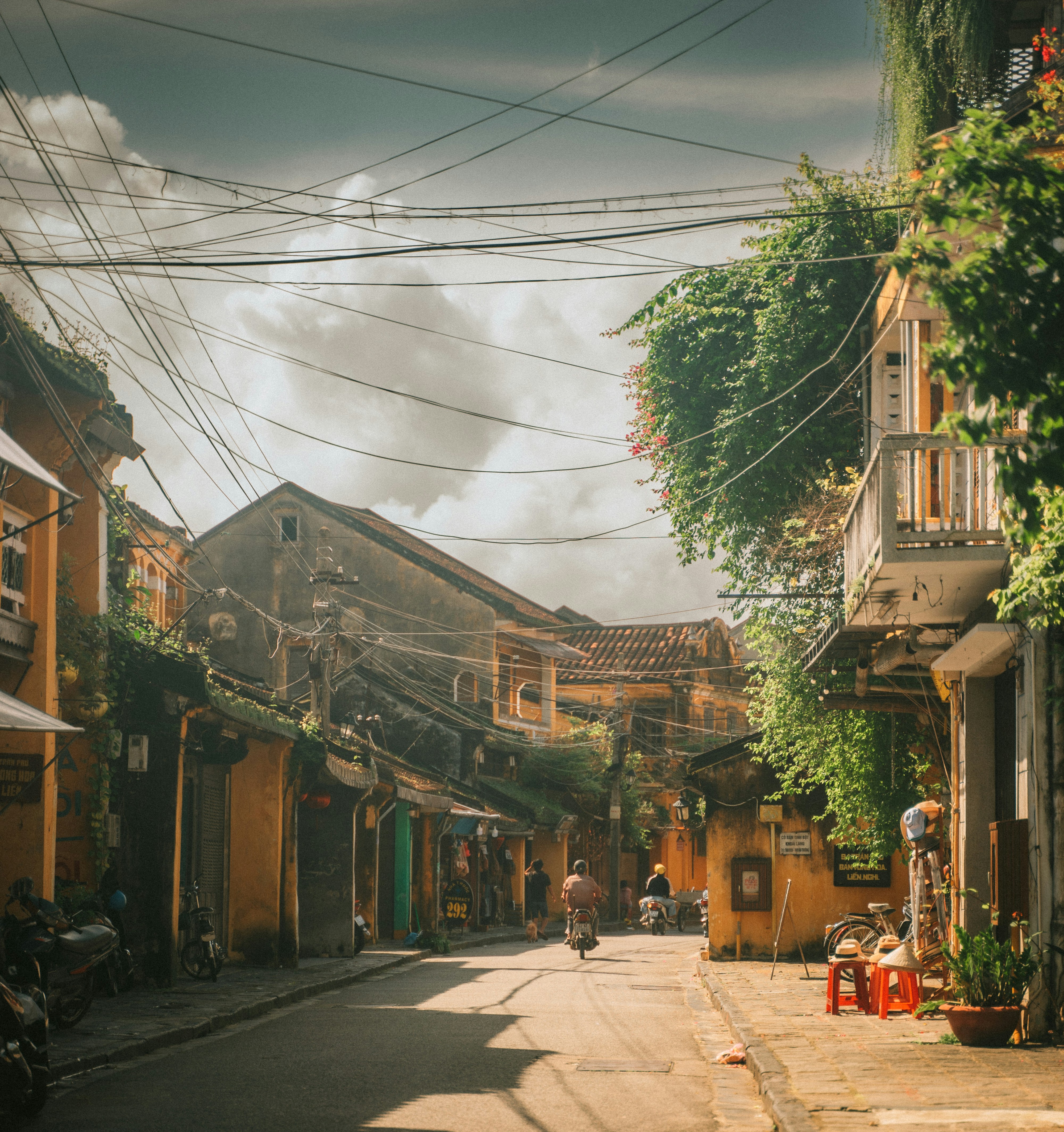 Photo by thinhngtrung