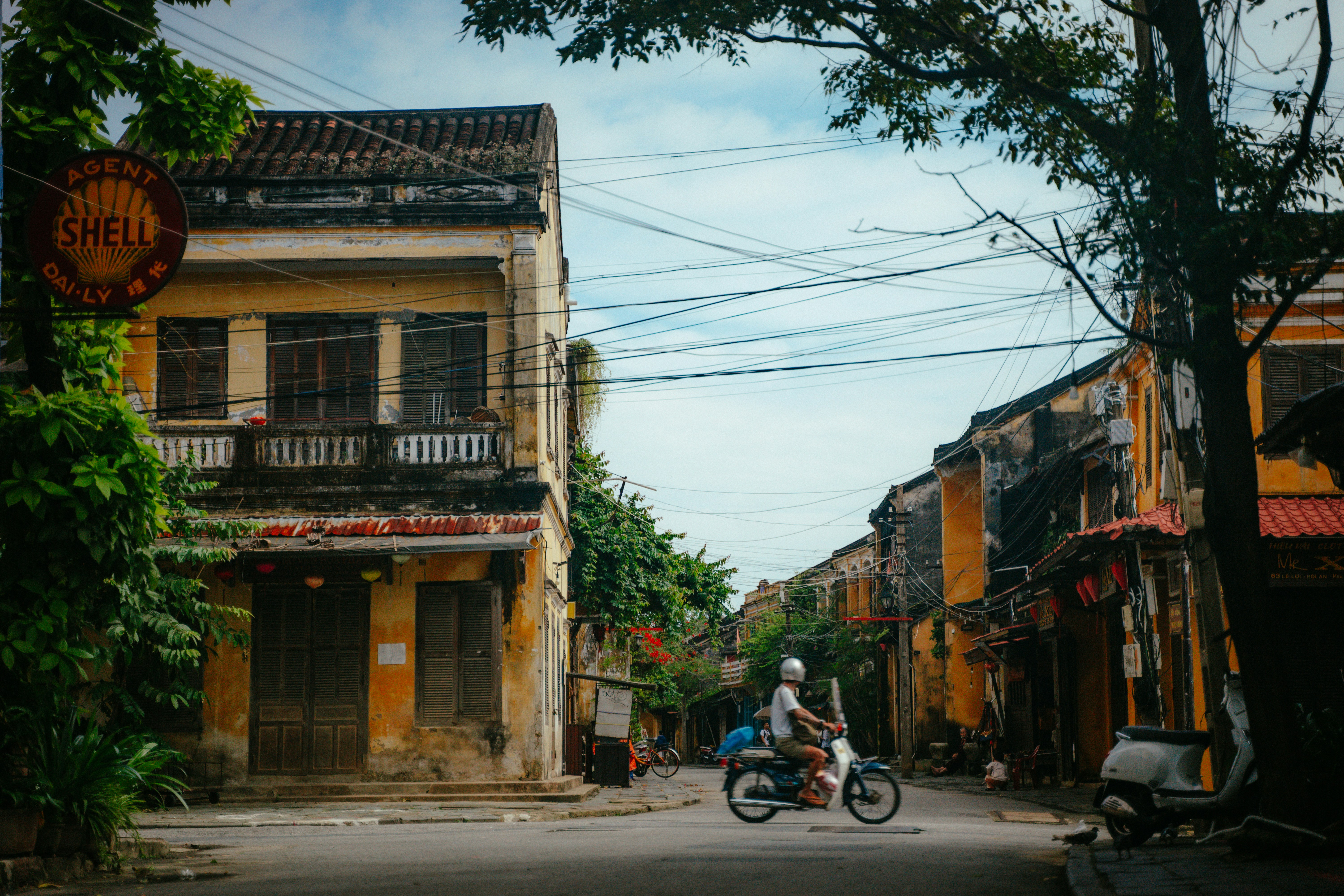 Photo by thinhngtrung