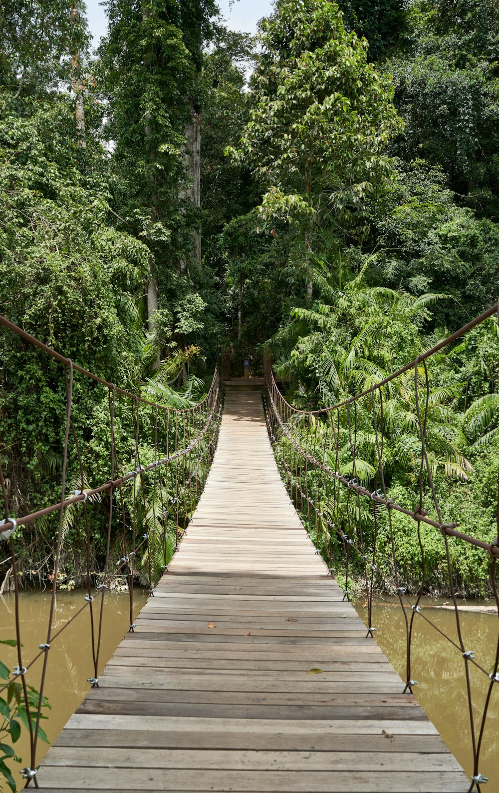 a wooden bridge in the middle of a forest