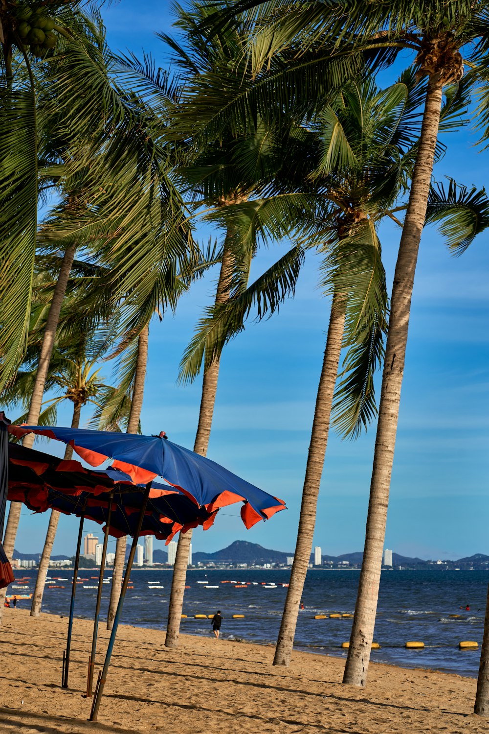 a beach with palm trees and a blue umbrella