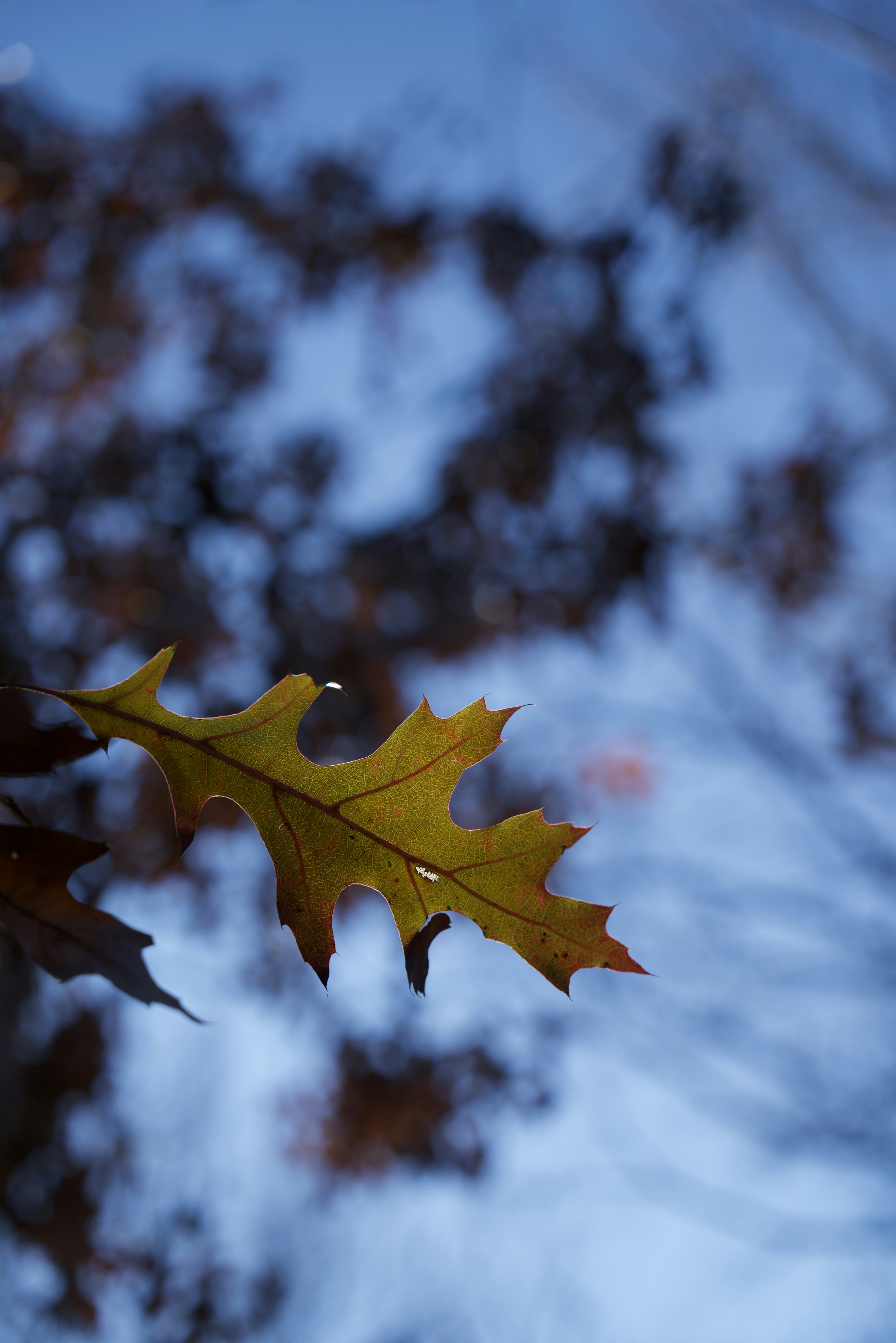 Photo by seventysixstories