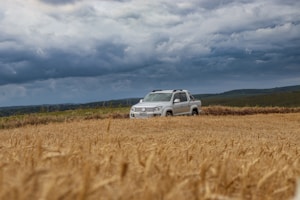 a van parked in a field of wheat under a cloudy sky