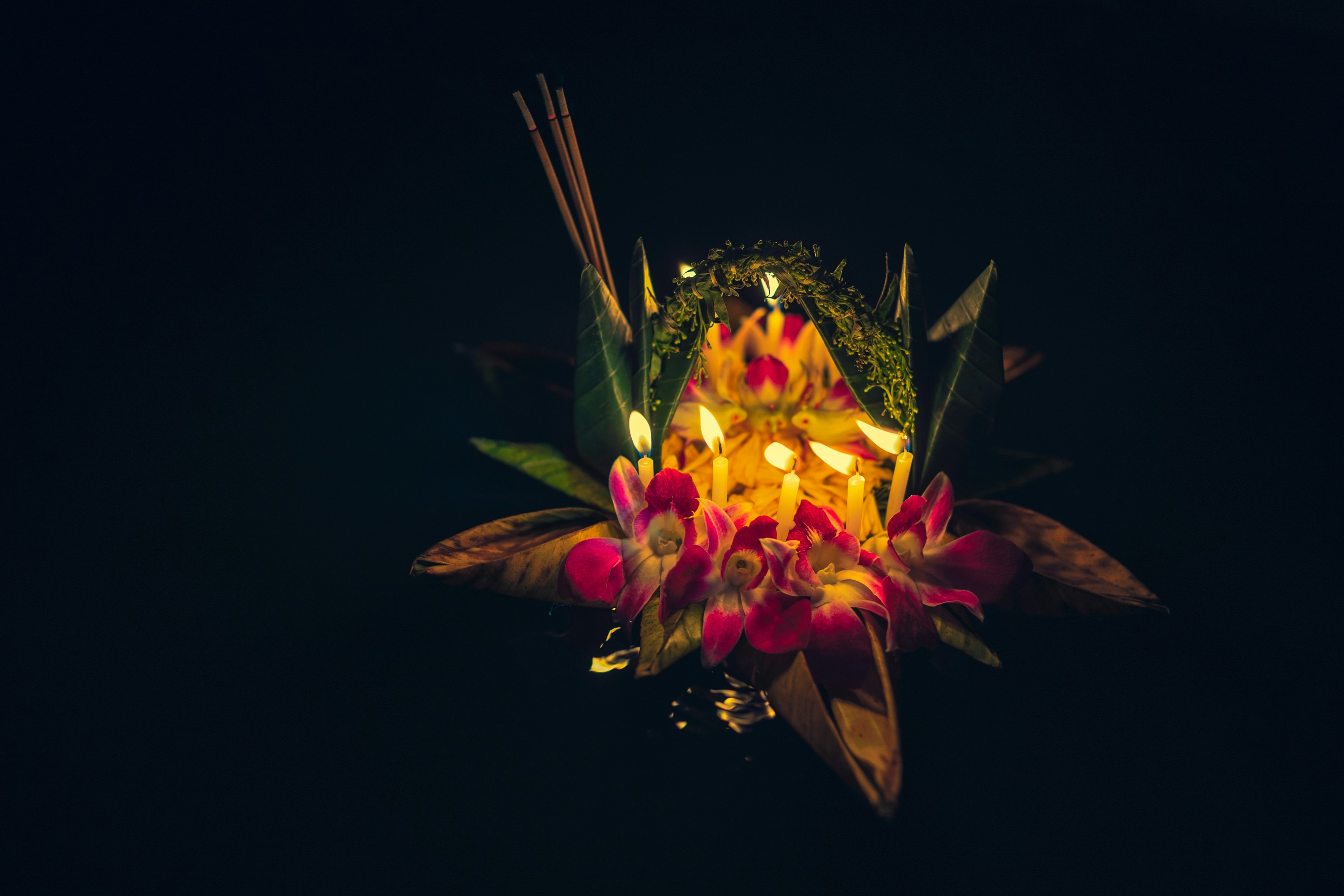 um ramo de flores que estão sentados no escuro