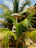 A sturdy Wendy house nestled in a lush garden with a backdrop of Durban's coastline under a clear sky.