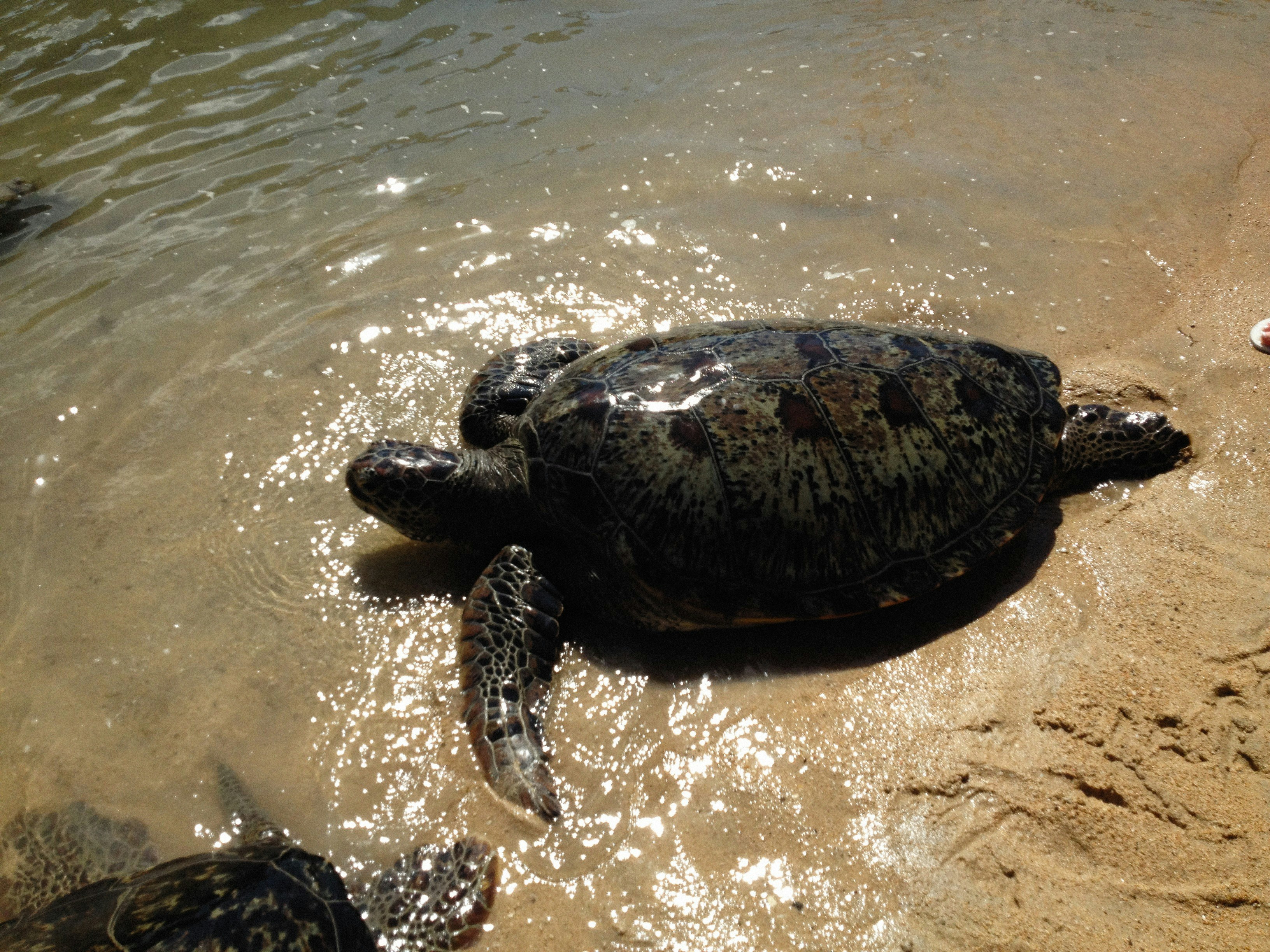 Photo by alexeydemidov