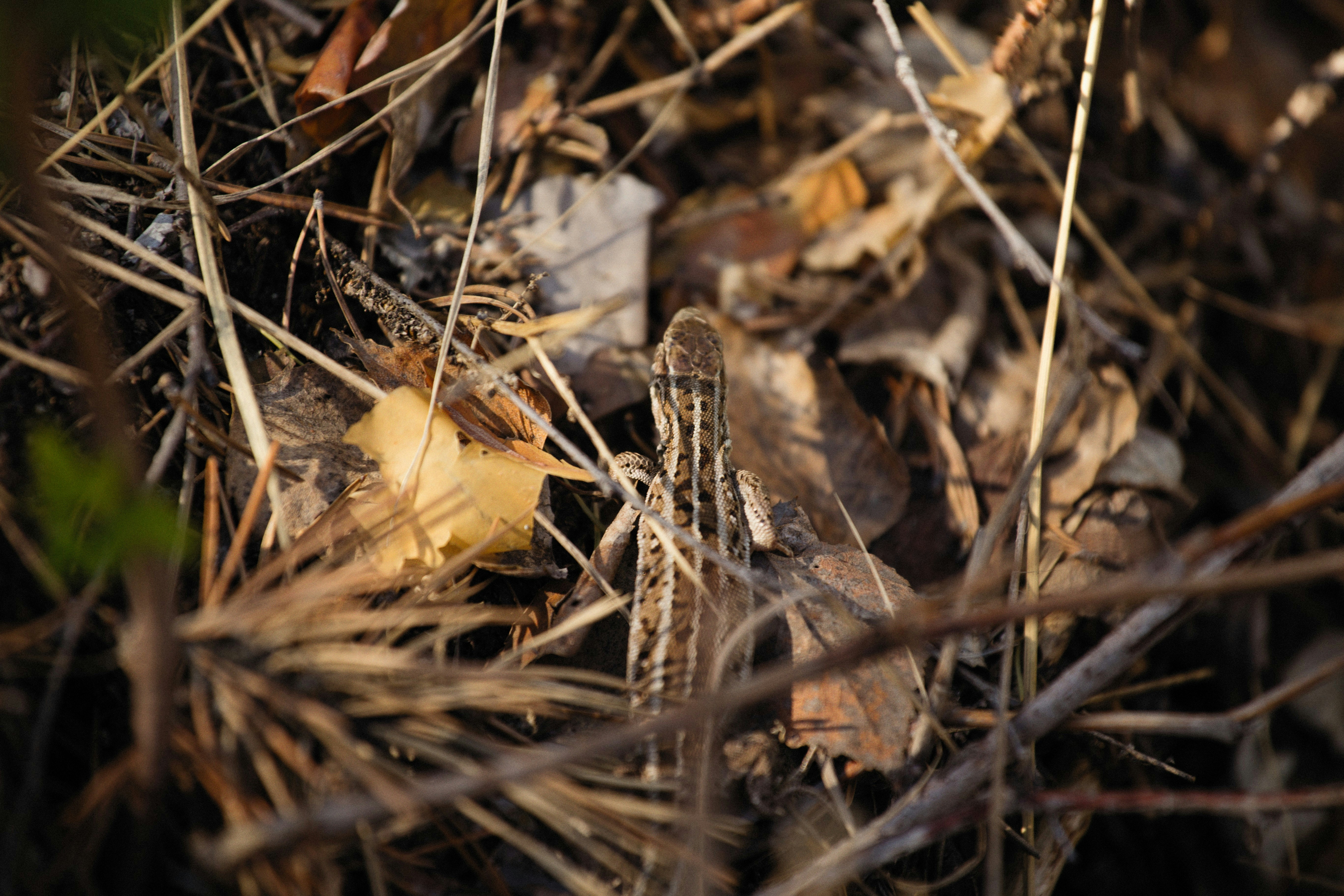 Photo by alexeydemidov