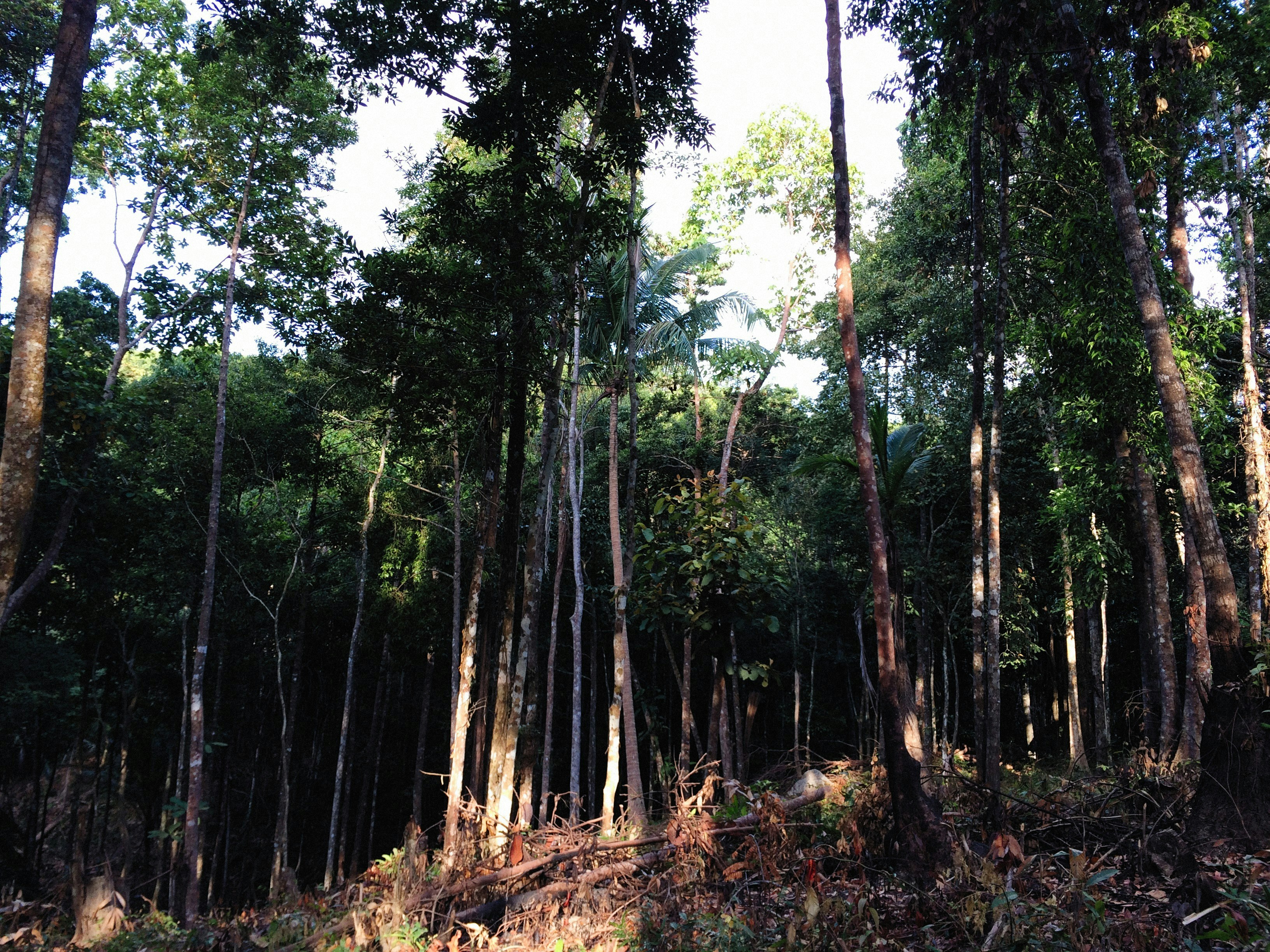 Photo by alexeydemidov