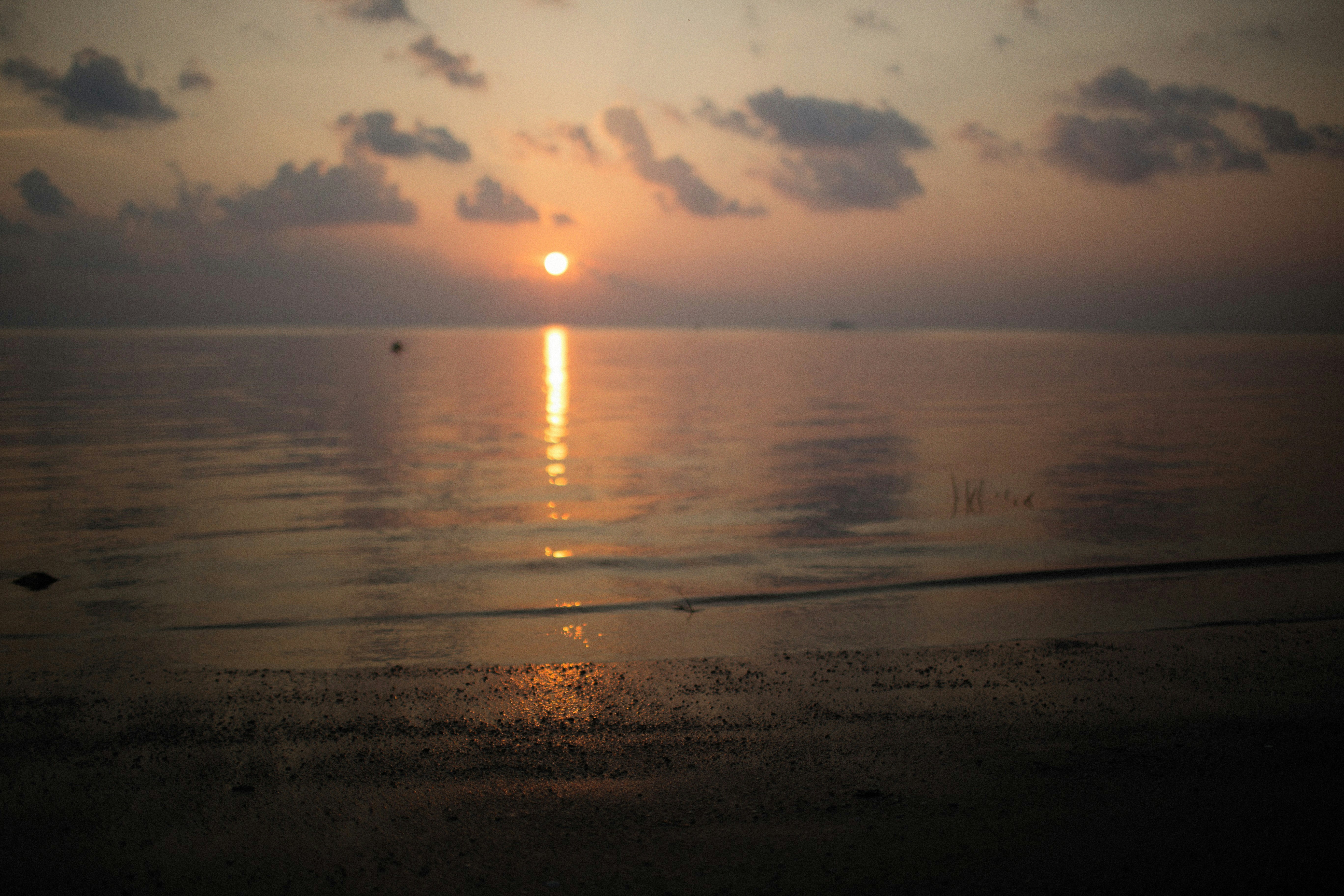 Photo by alexeydemidov