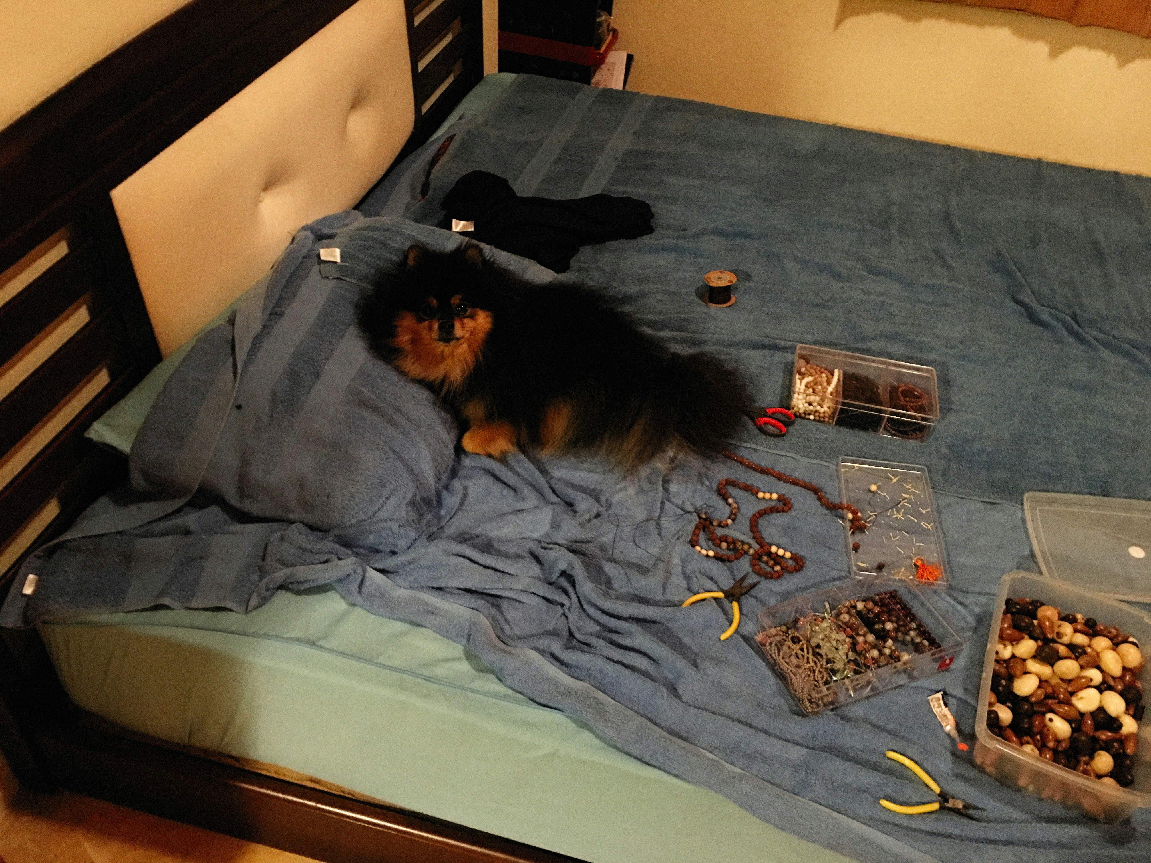 Decoding the Mattress Circles