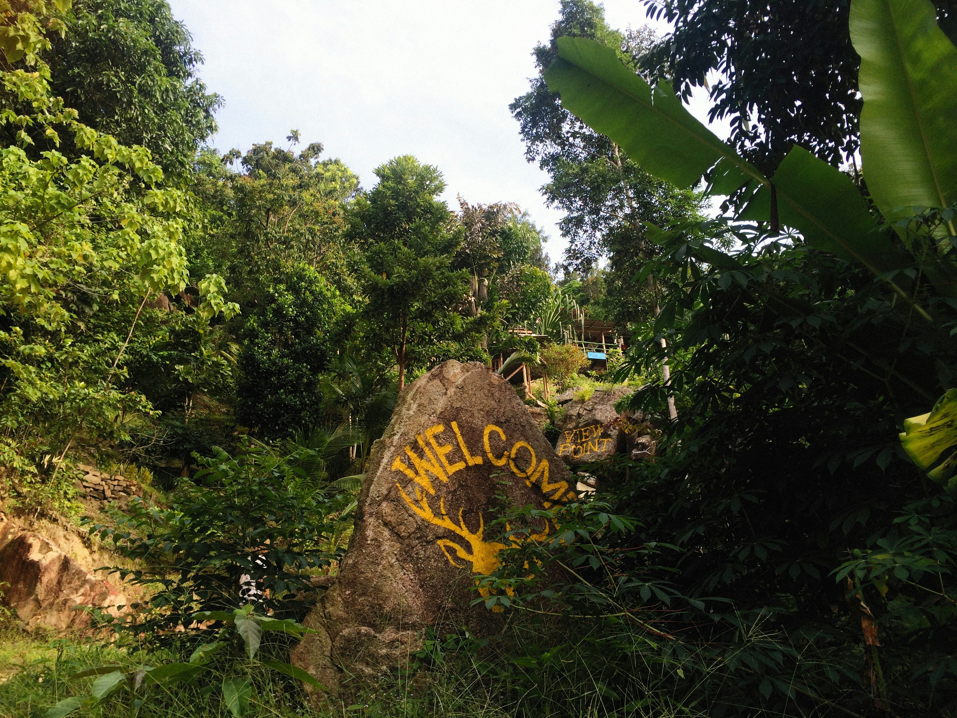 Photo by alexeydemidov