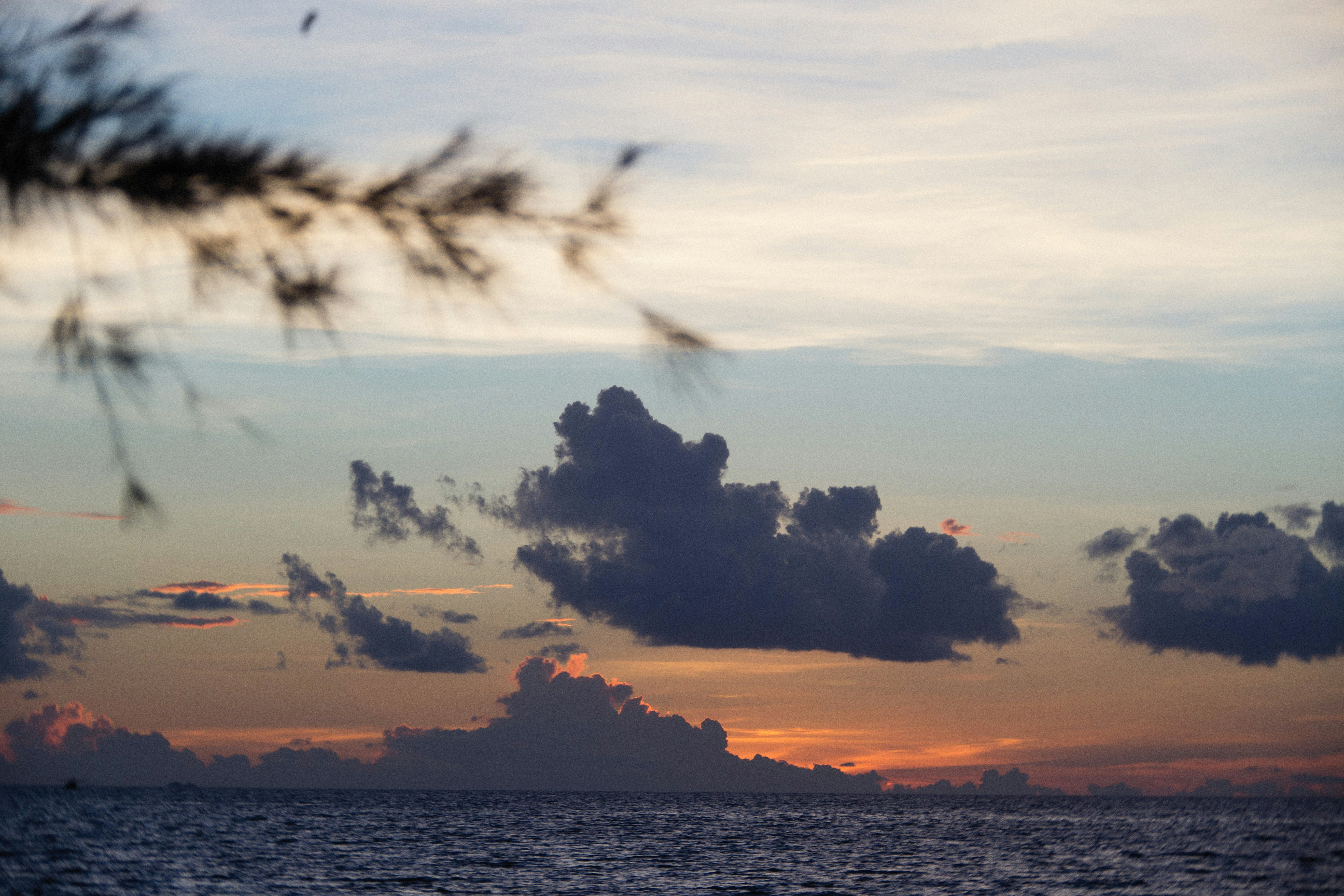 Photo by alexeydemidov