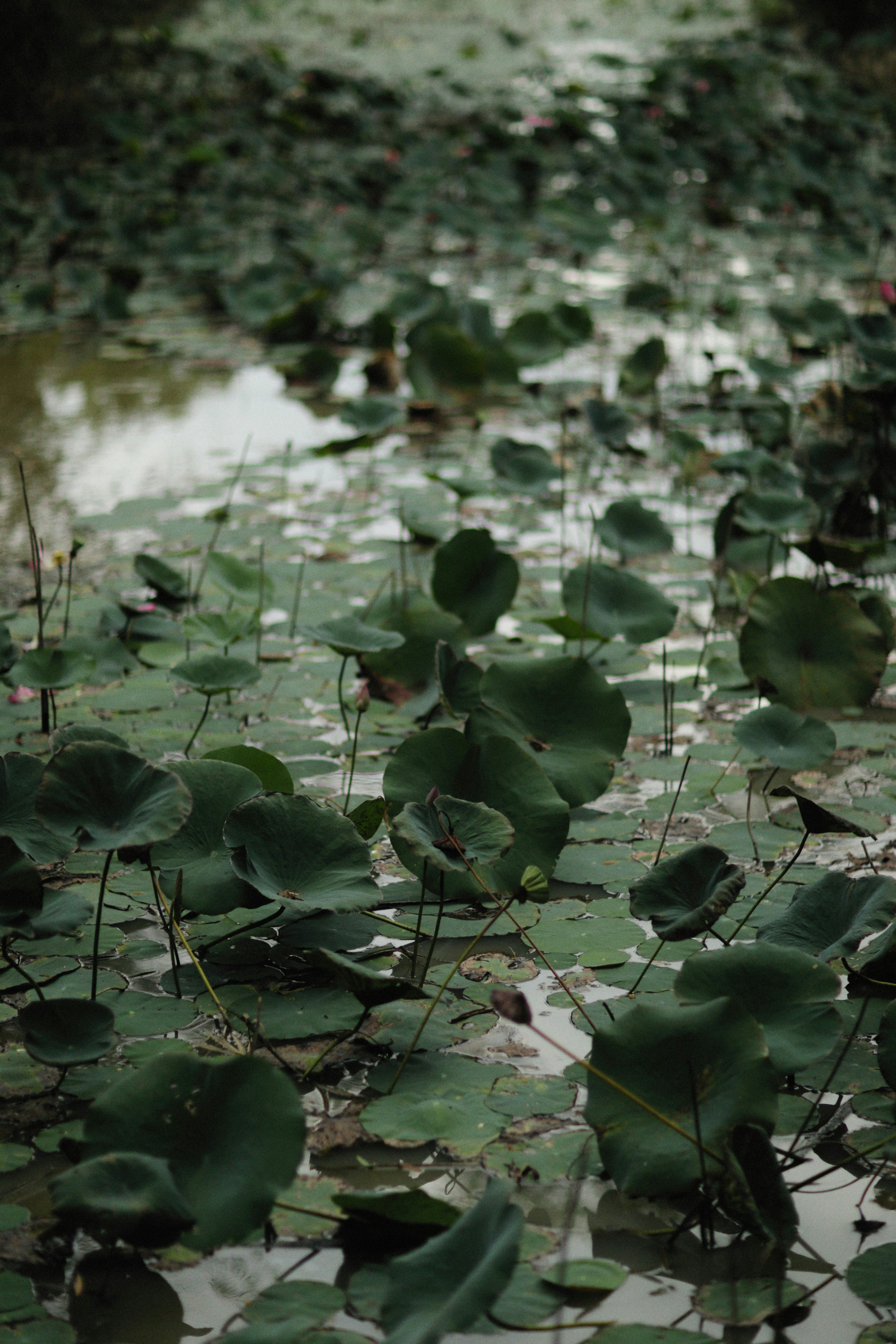 Photo by alexeydemidov