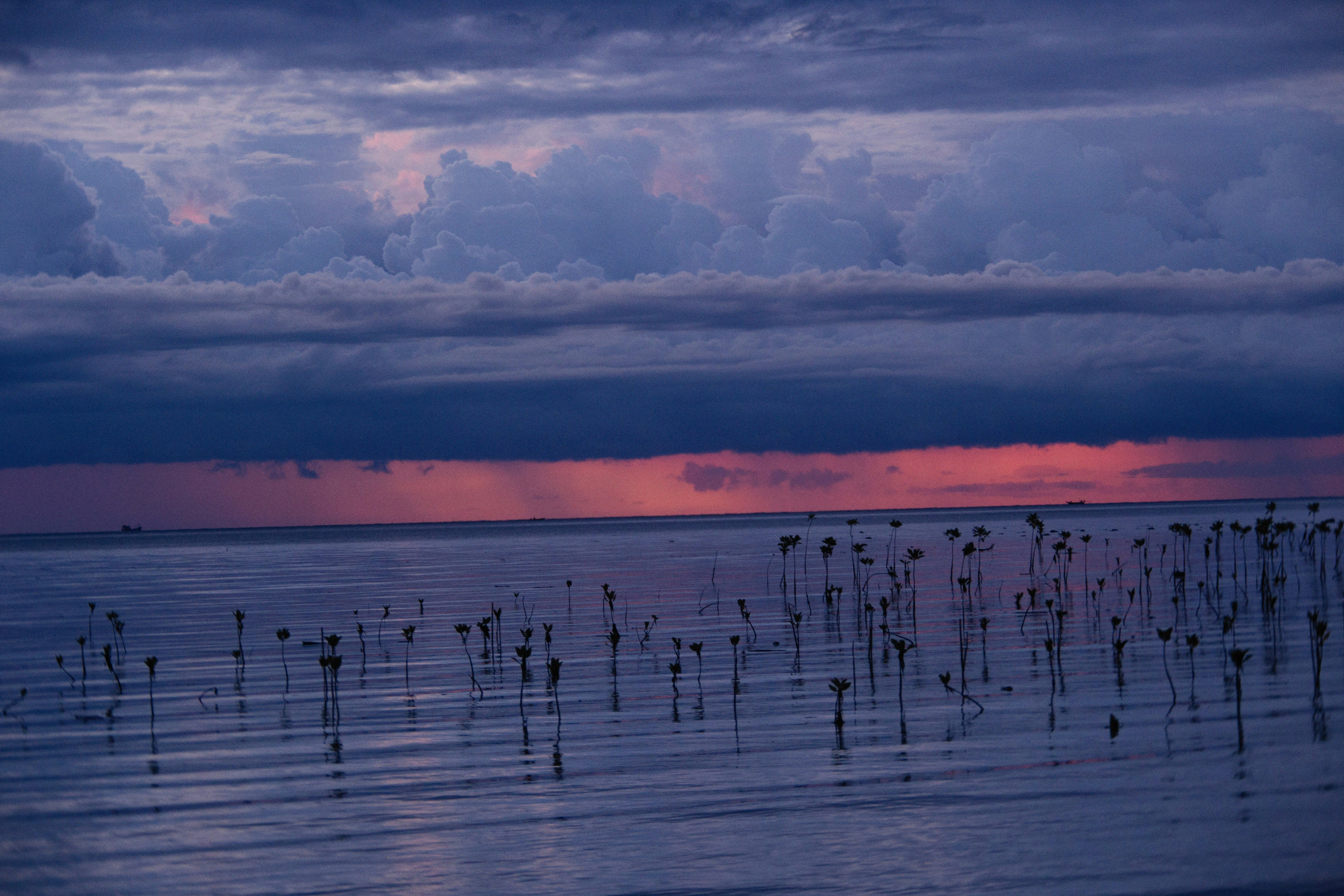 Photo by alexeydemidov