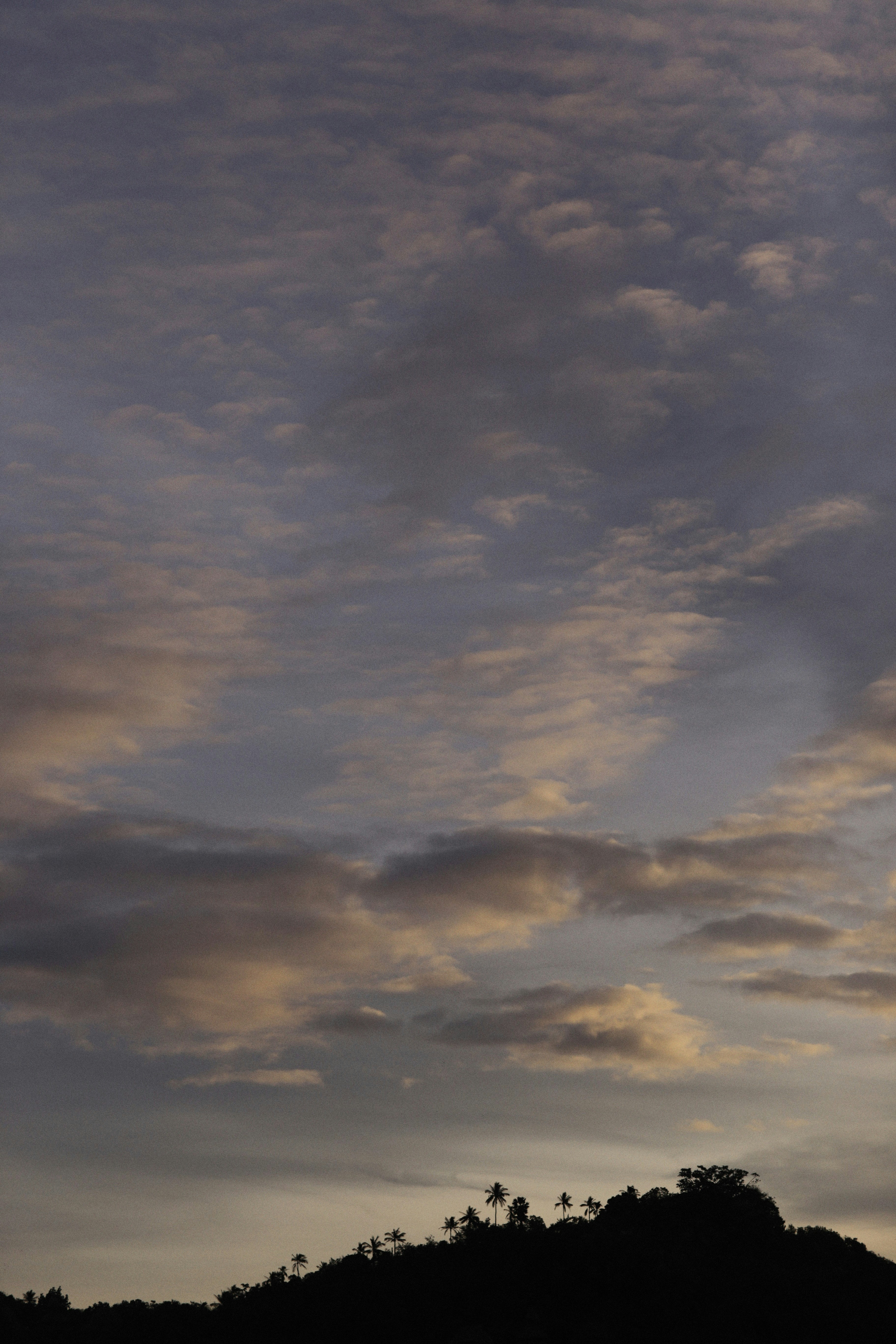 Photo by alexeydemidov