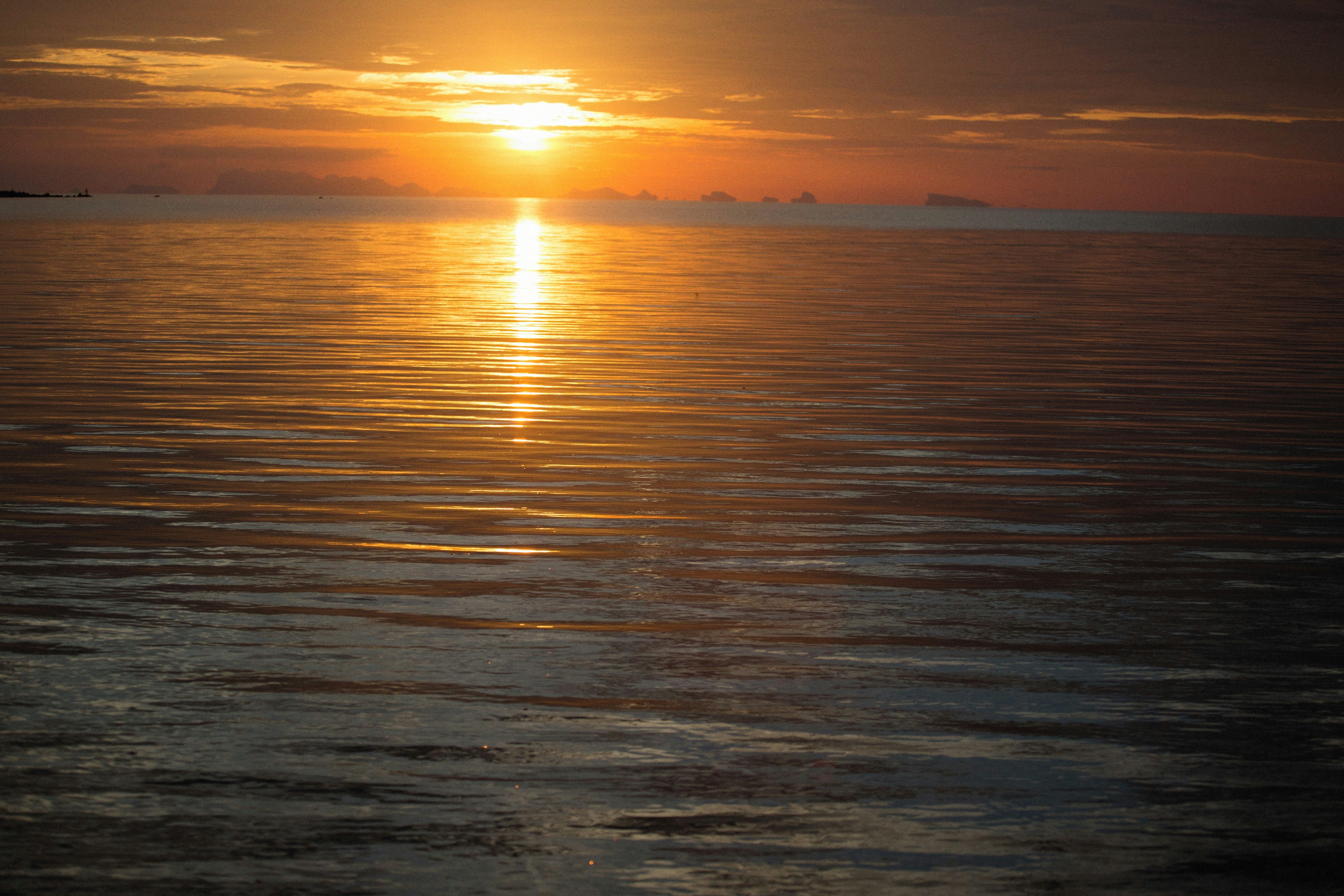 Photo by alexeydemidov