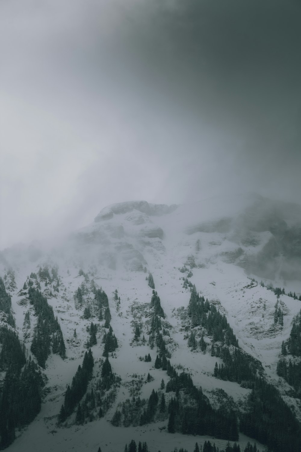 a mountain covered in snow and trees under a cloudy sky