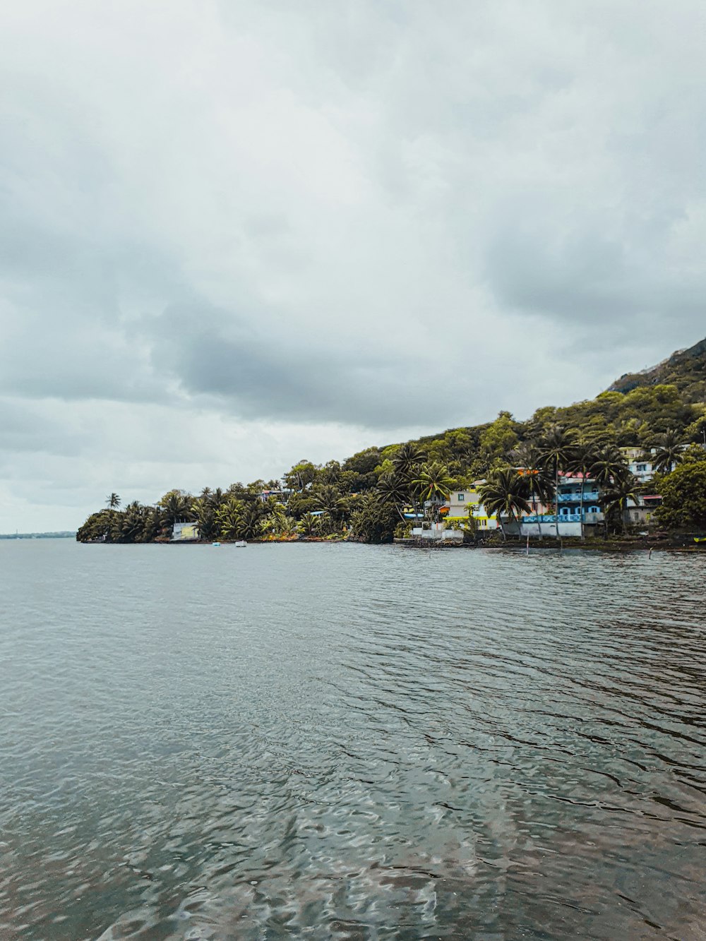 a body of water with a small island in the background