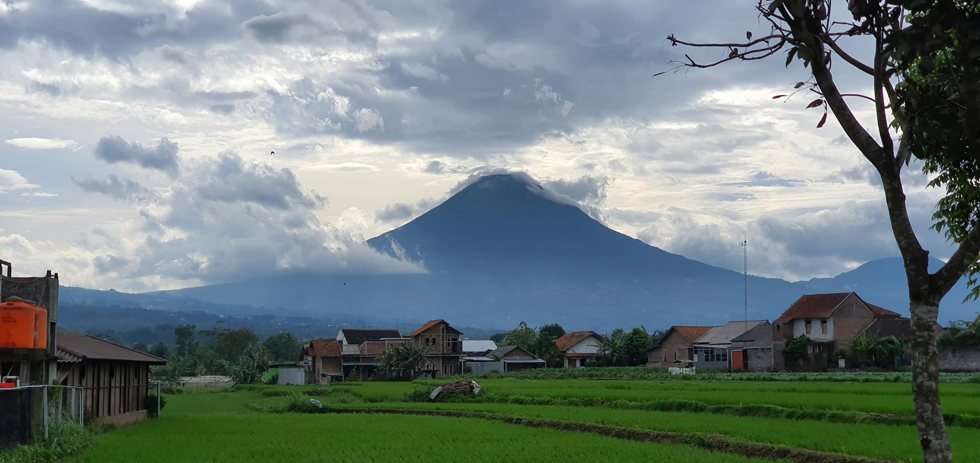 a green field with houses and a mountain in the background