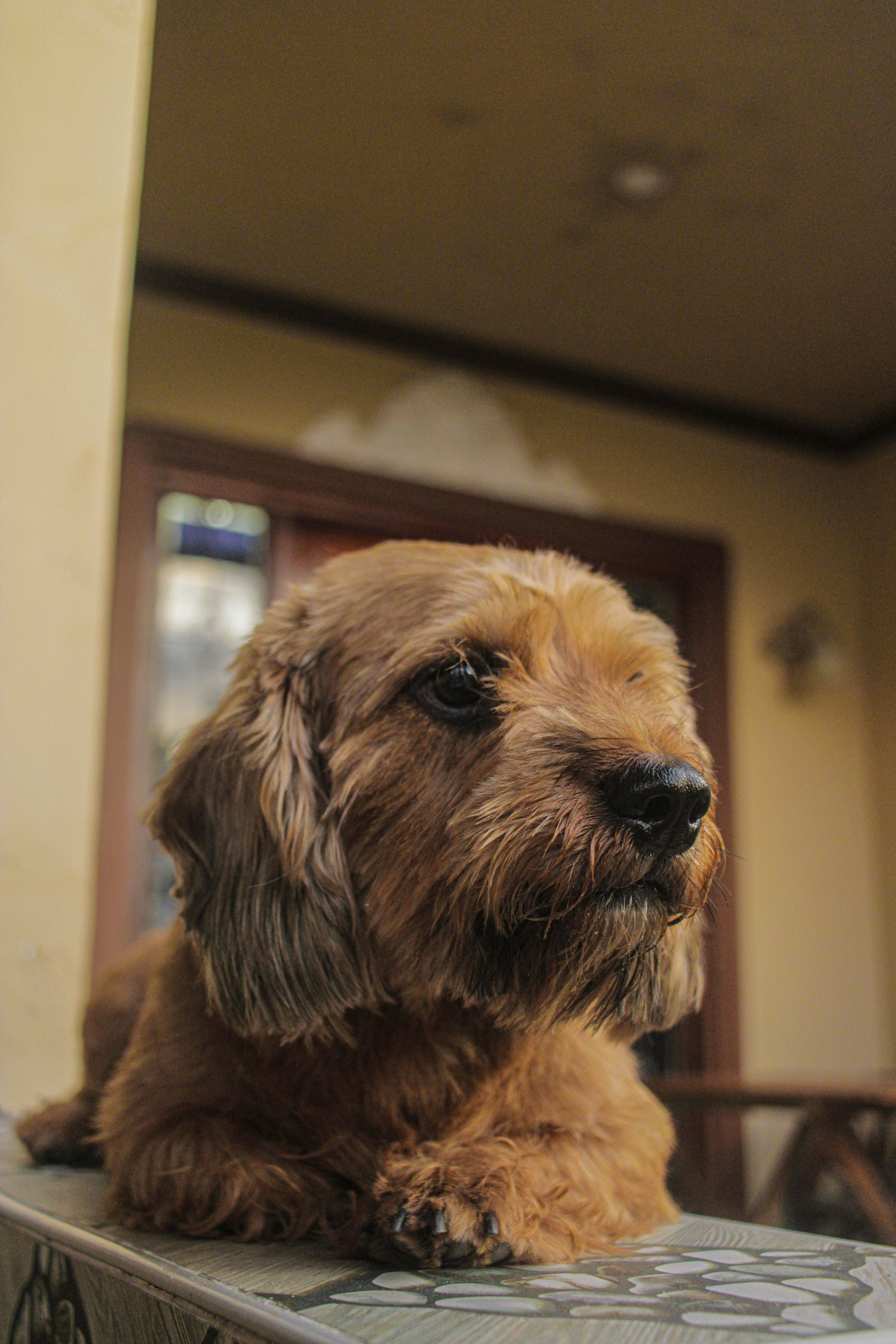 Photo by adriannetulod