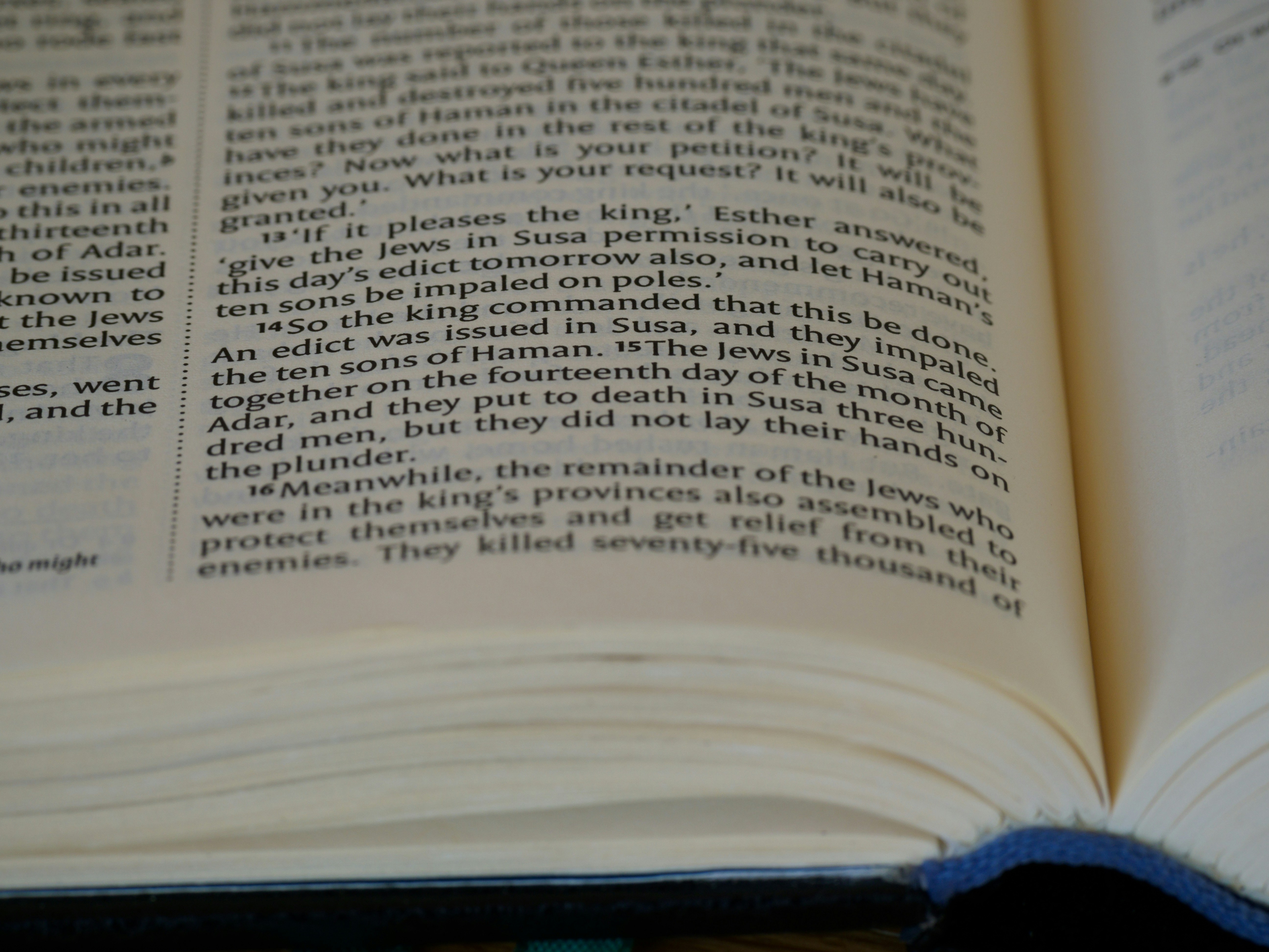 Photo by brett_jordan