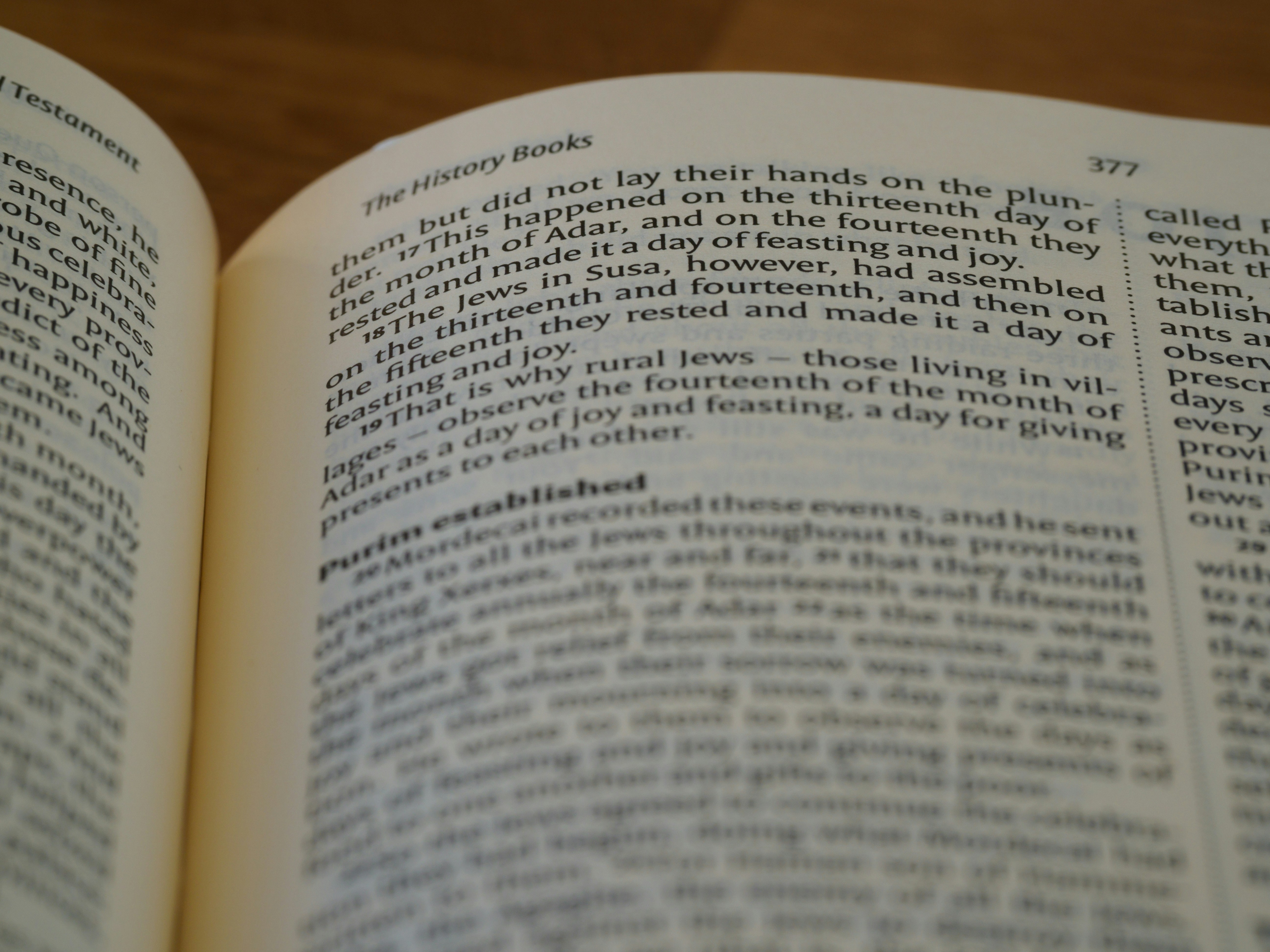 Photo by brett_jordan