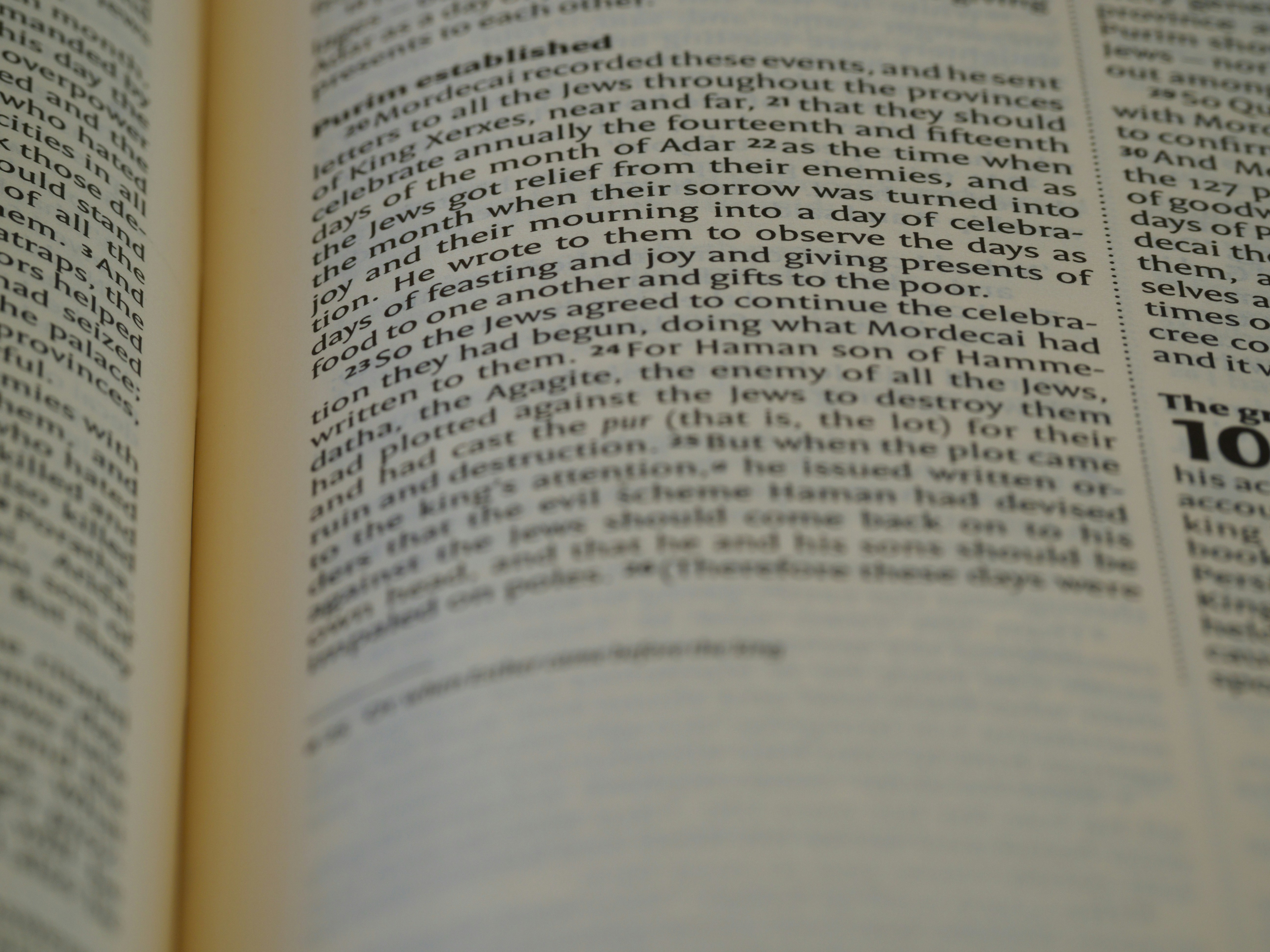 Photo by brett_jordan