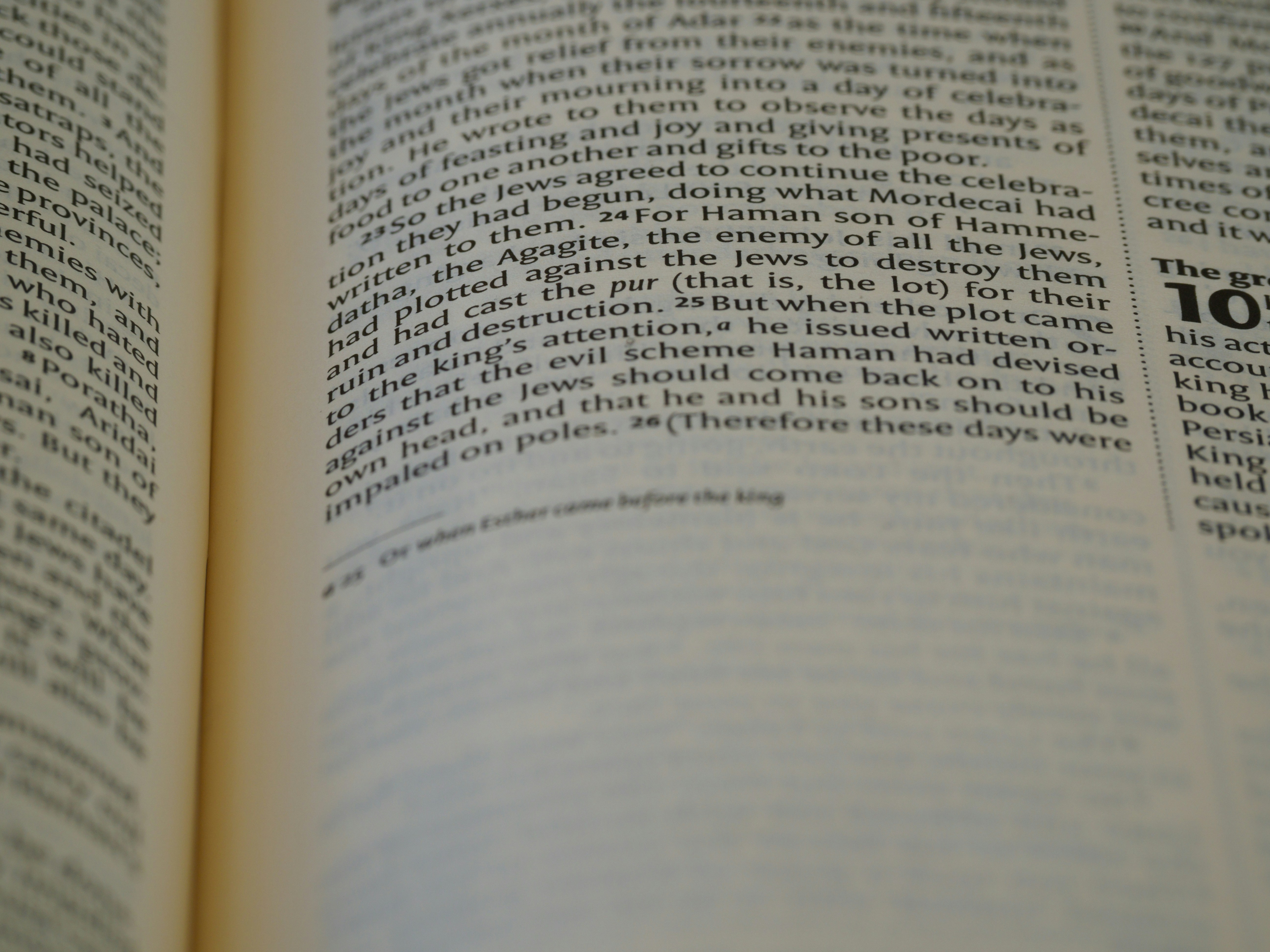 close up, bokeh, macro, blur, blurred background, close focus, bible, old testament, hebrew bible, christian, judaism, history, text, reading, bible study, devotions, text, NIV, New International Version, type, typography, canon, christianity, holy scripture, holy bible, scripture, hebrew bible, esther, tanakh, susa, persia, ahasuerus, xerxes,</p>
<p>” style=”max-width:430px;float:left;padding:10px 10px 10px 0px;border:0px;”>Discover the  adventure of  on-line betting at m98 Casino, a premier destination for  gamers in Thailand. With a vast array of games and betting  alternatives, m98  Casino site caters to diverse  preferences and  choices,  making sure an  interesting experience for all.</p>
<p>The casino’s  easy to use interface and  protected  settlement systems make it an  suitable  selection for those looking to bet online. Players can enjoy a seamless experience, knowing their  purchases are  safeguarded.</p>
<p>Whether you’re a  skilled  gamer or  brand-new to  on-line casinos, m98  Online casino  uses an  interesting environment to  check out. With its  extensive offerings and  dedication to security, it’s a  leading choice for online betting in Thailand.</p>
<p><span style=
