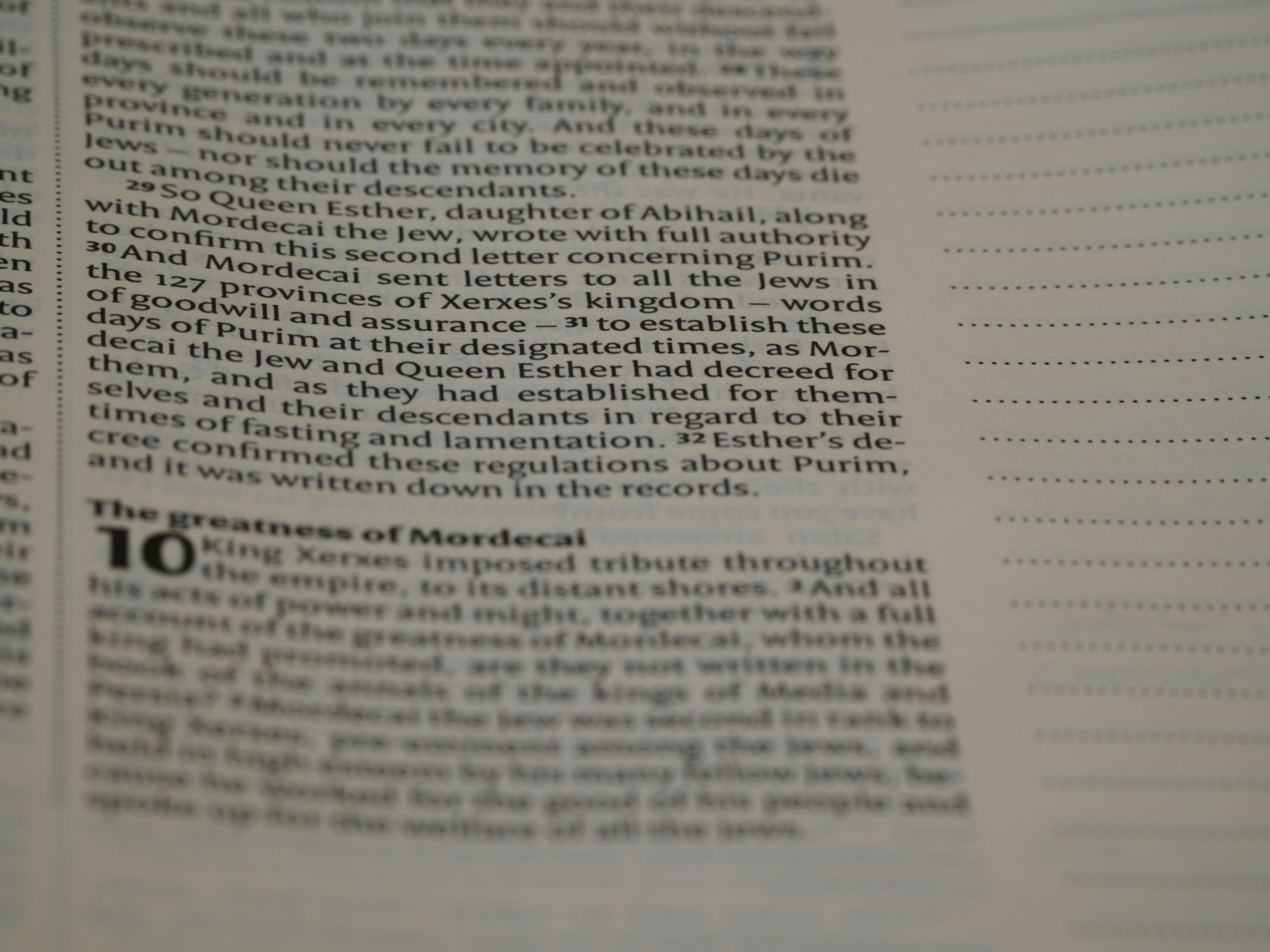 Photo by brett_jordan