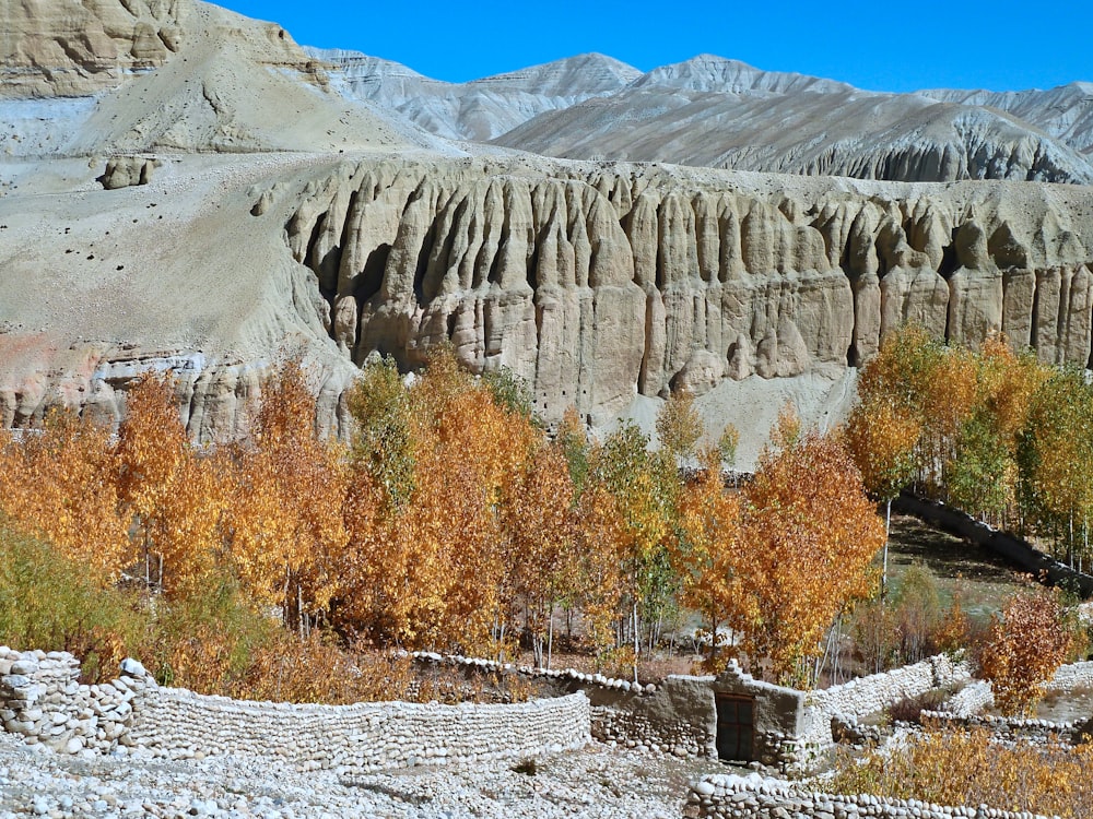 a rocky landscape with trees in the foreground and mountains in the background