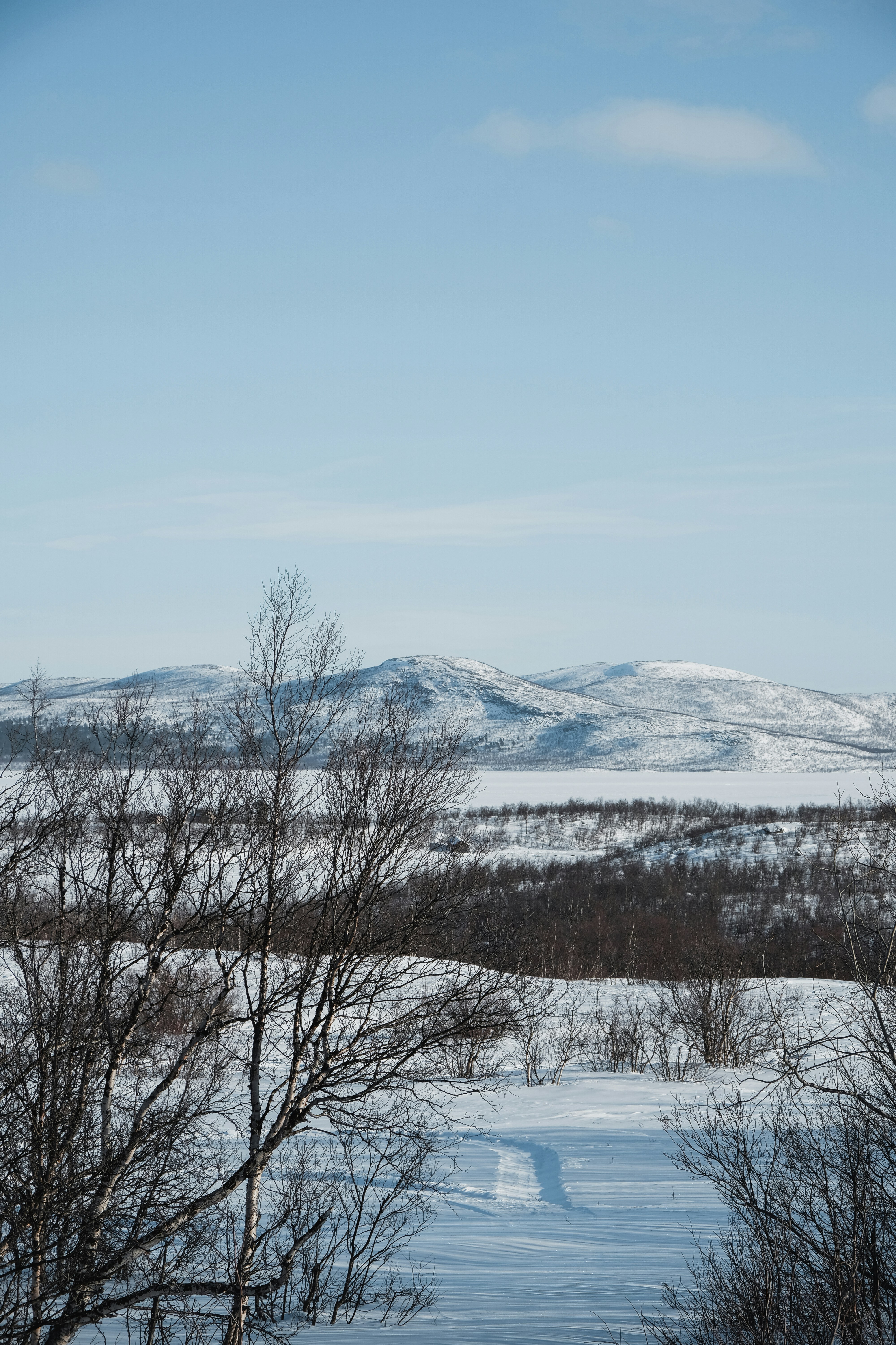 a snow covered field with trees and mountains in the background