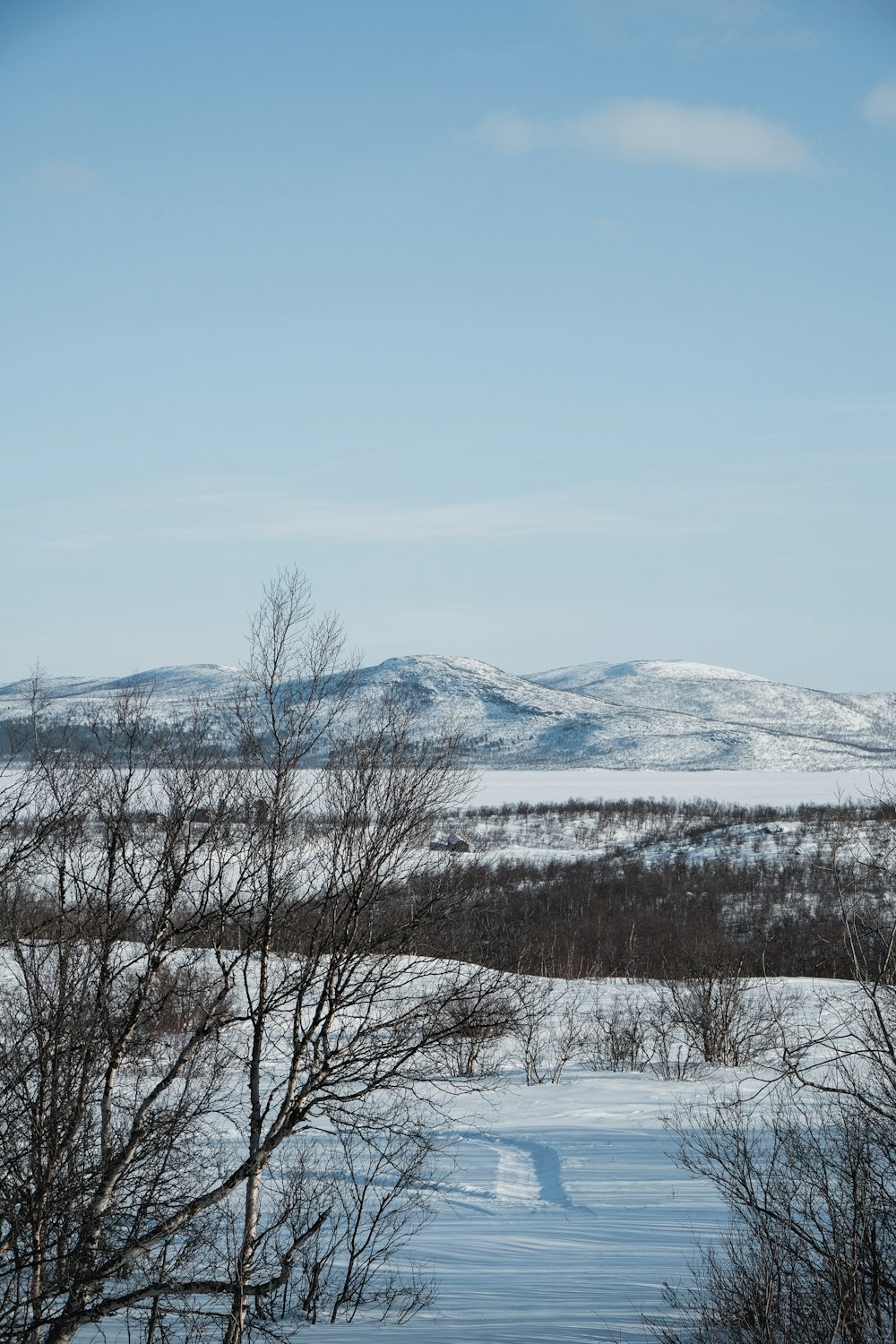 a snow covered field with trees and mountains in the background