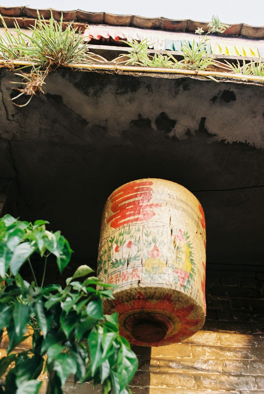 a plant is growing out of a potted planter