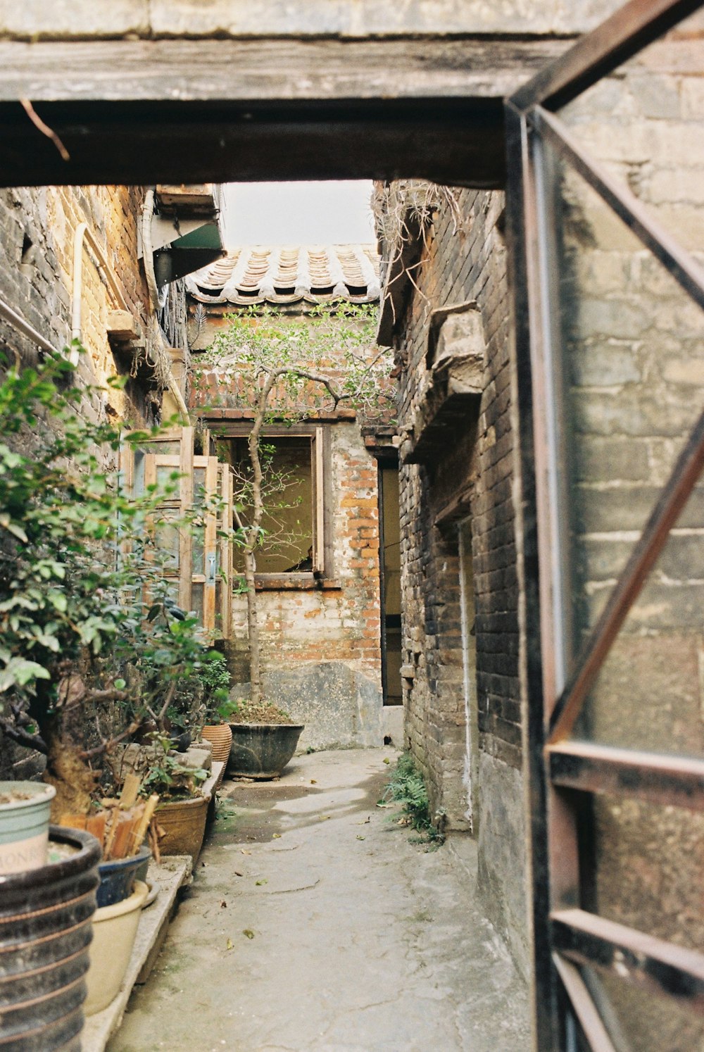 a narrow alley way with potted plants on either side
