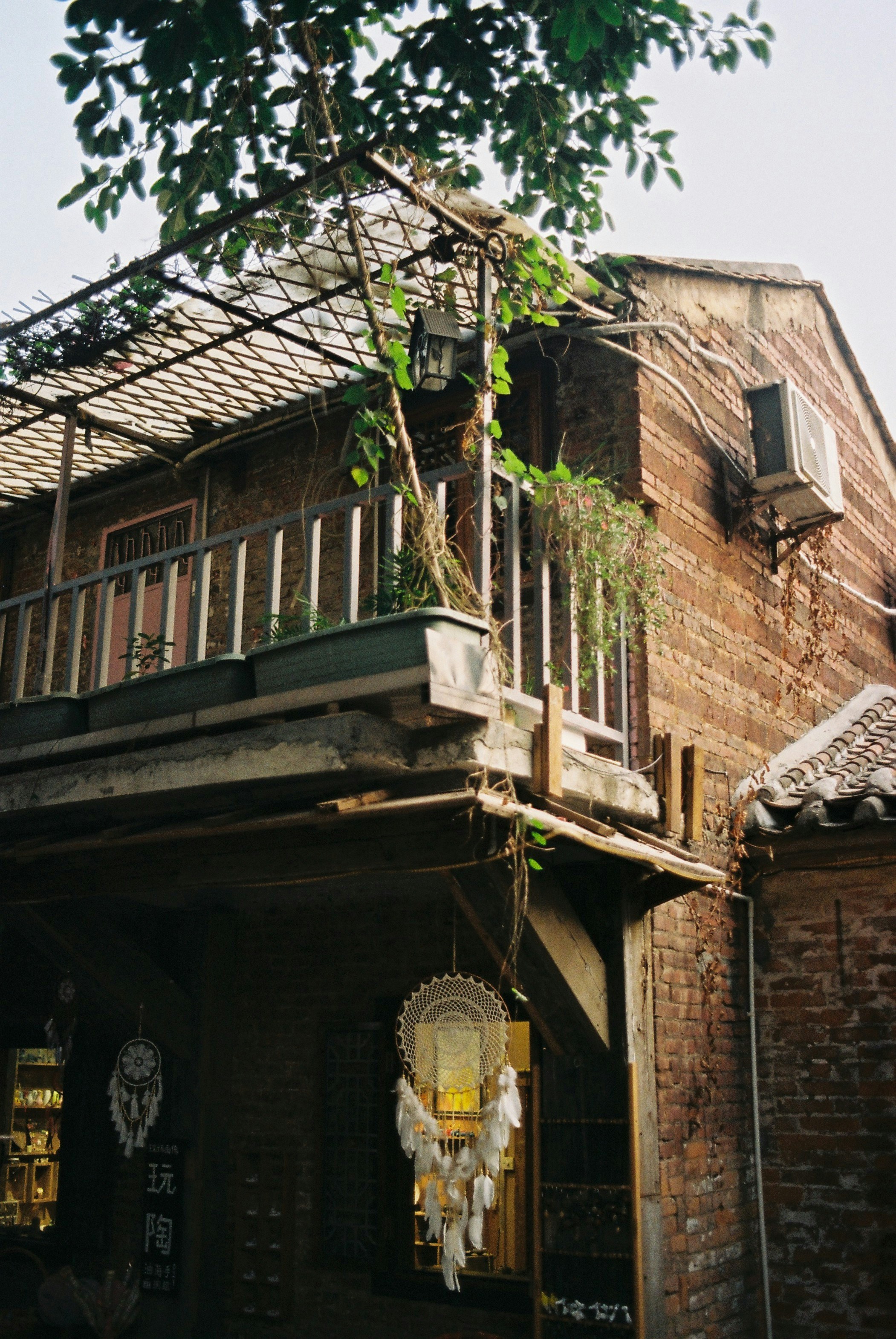 a building with a tree growing out of it