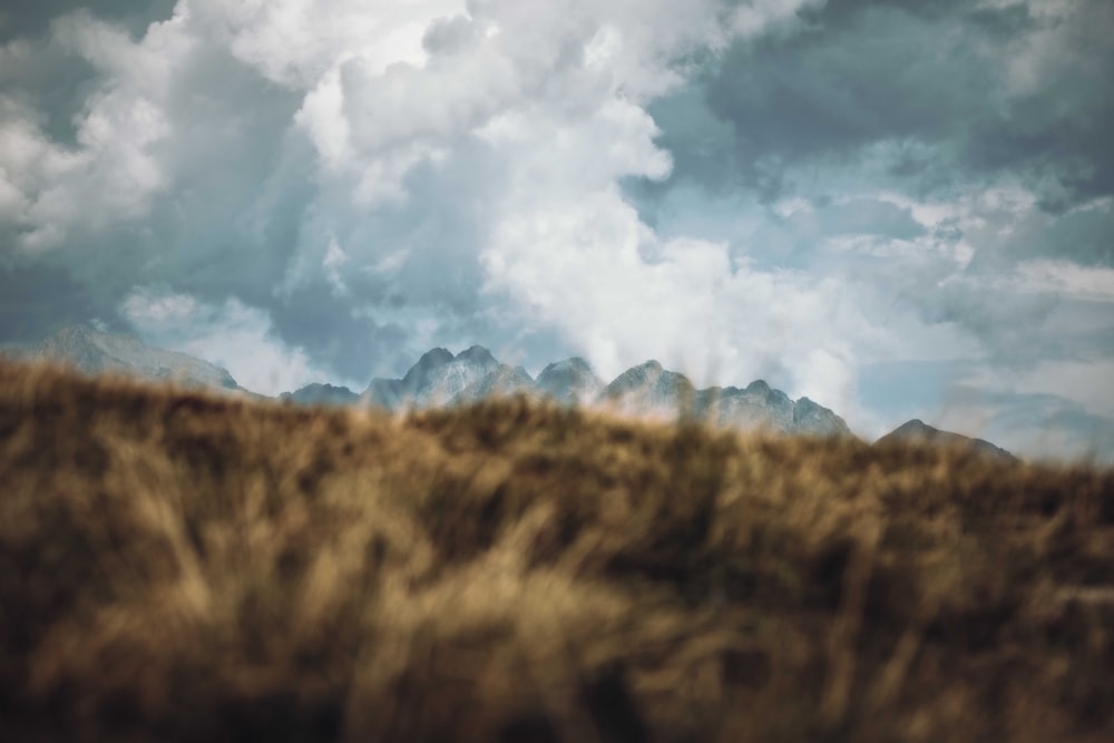 a grassy field with mountains in the background