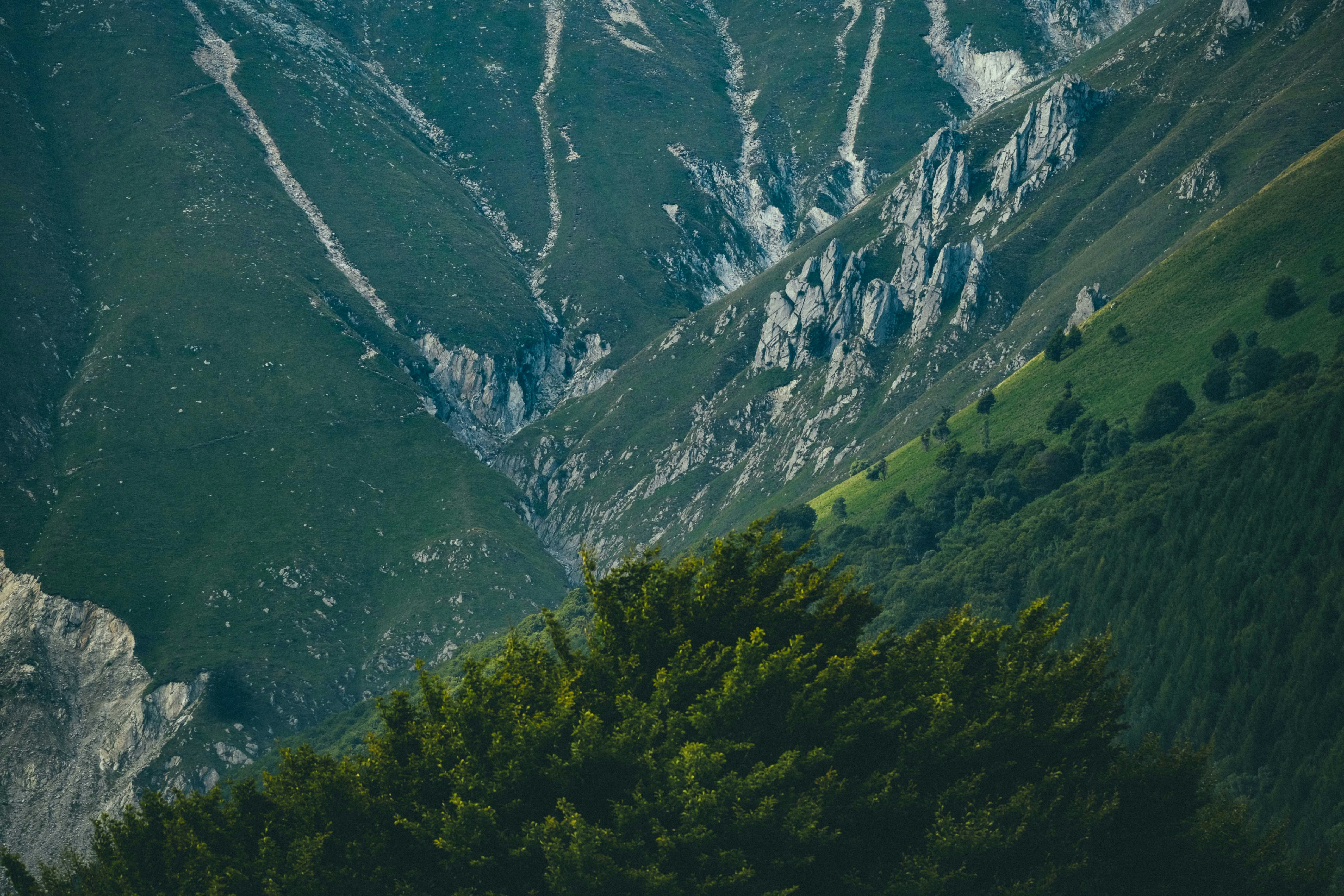 Photo by francesco_ungaro