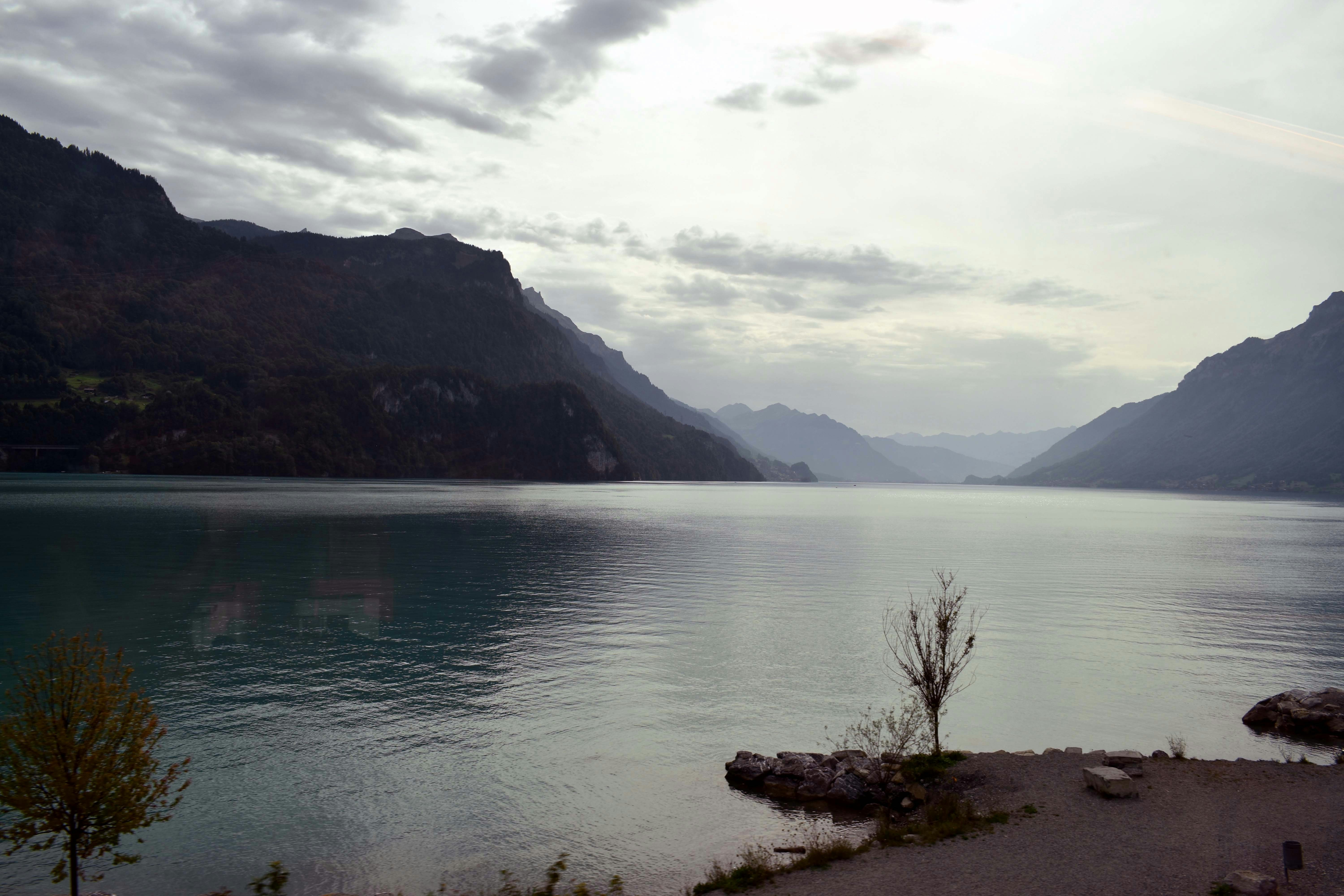 Photo by avinash7760670357