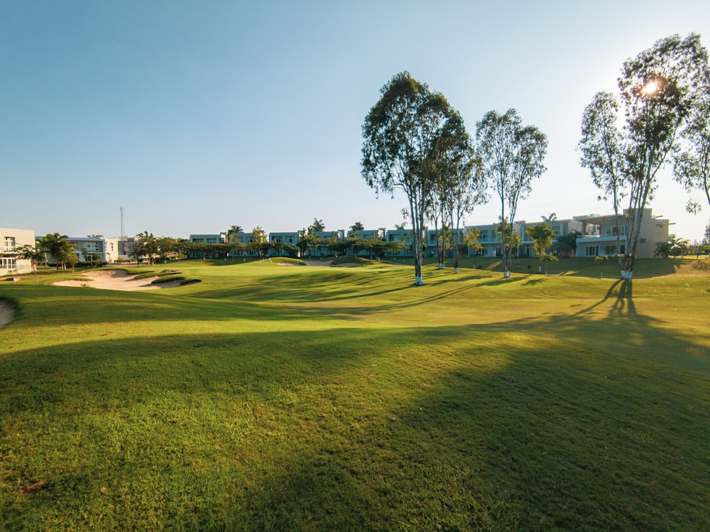 a man is playing golf on a sunny day