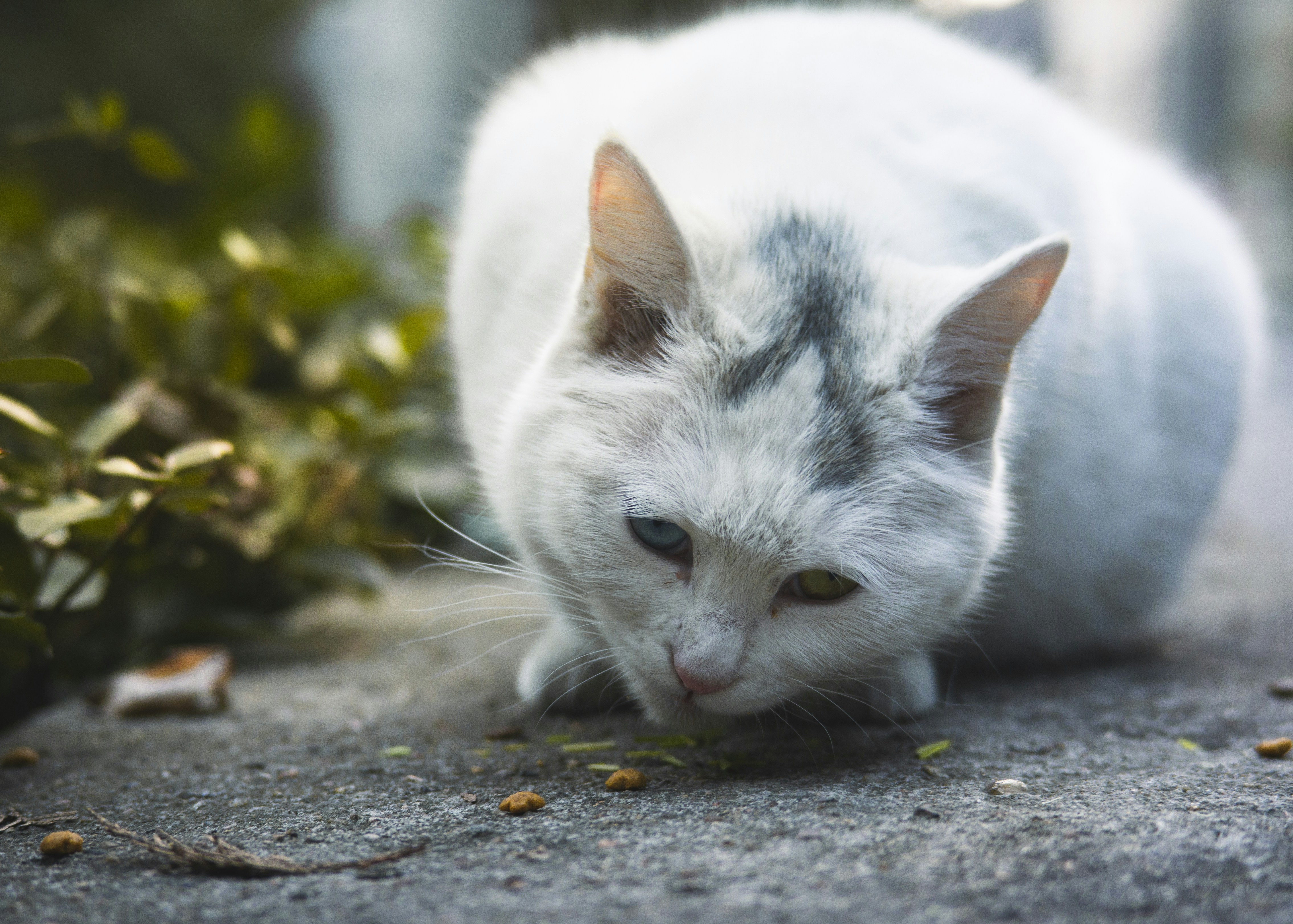 Photo by minecraftinventor