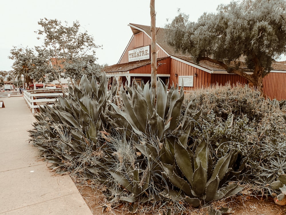 a building with a bunch of plants in front of it