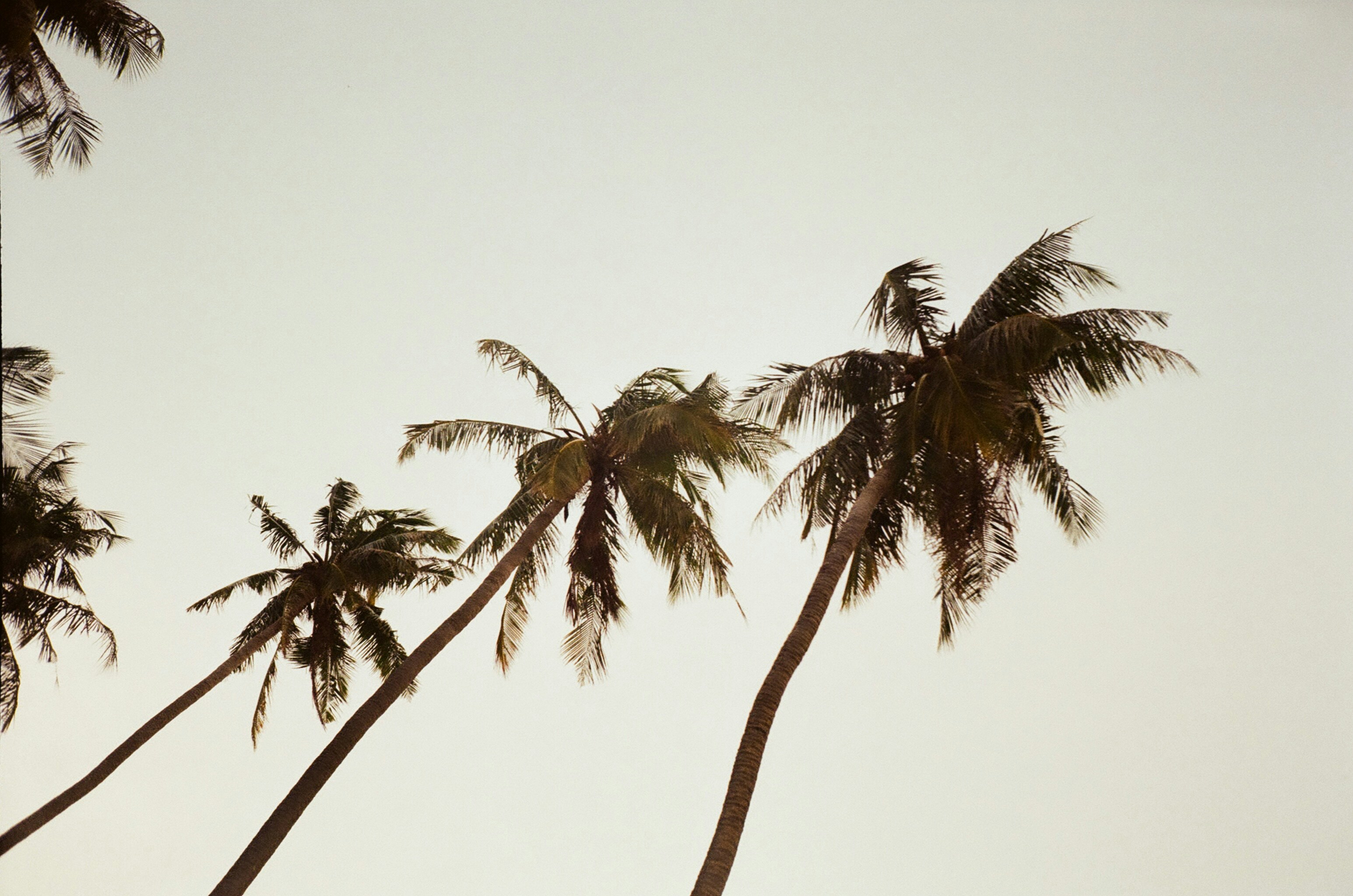 Photo by alex_photogram