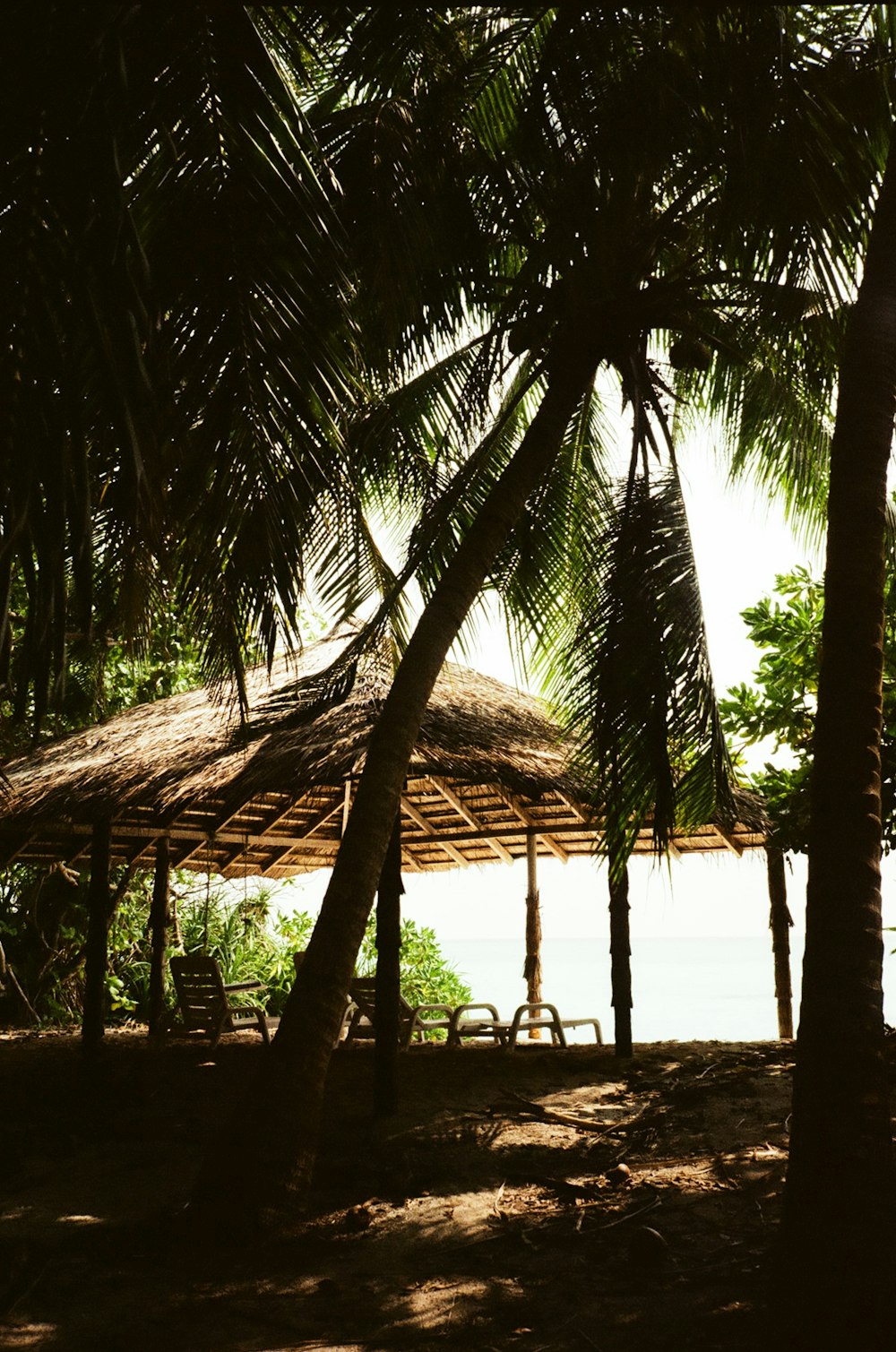 a hut with a thatched roof is surrounded by palm trees