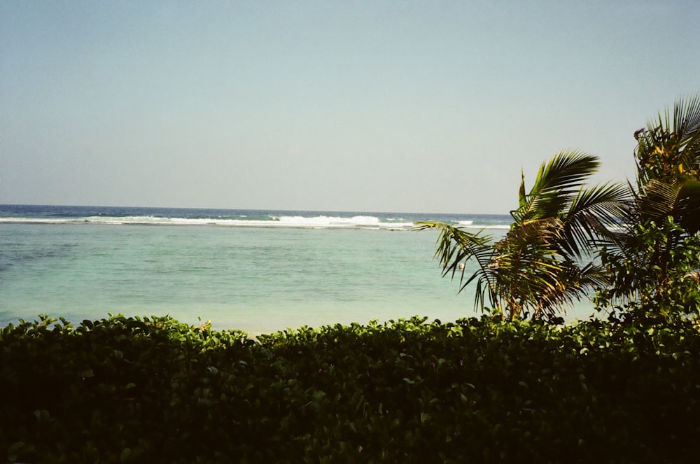 a view of a body of water with a wave in the distance