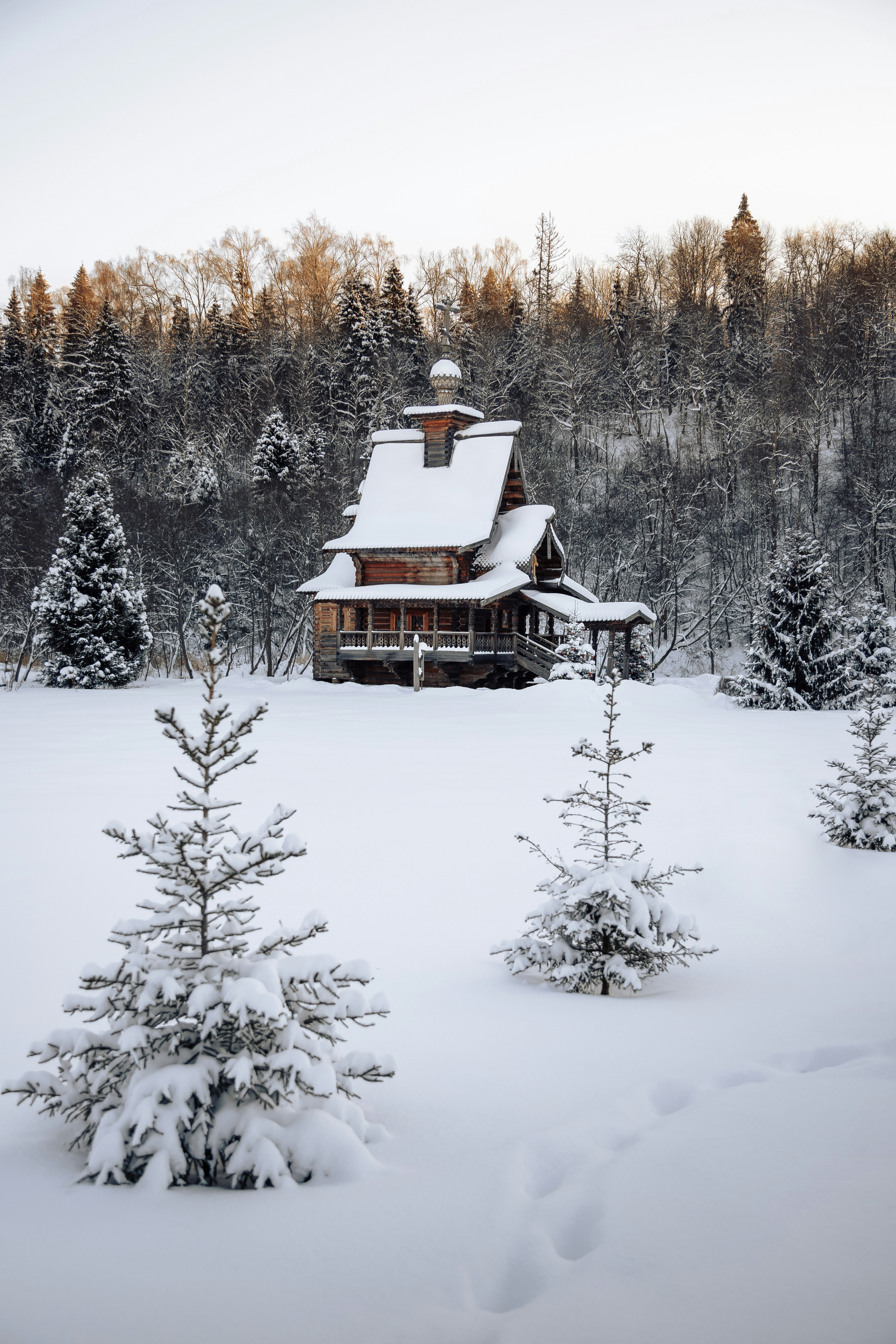 Photo by nikita_pishchugin