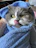 A serene, fluffy cat wrapped in a soft towel after a gentle spa bath.
