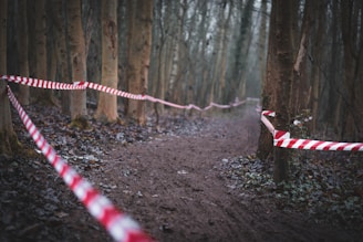 a red and white striped ribbon is on a trail