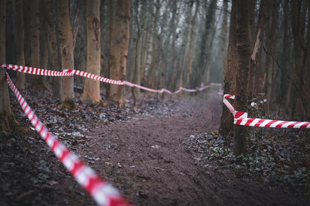 a red and white striped ribbon is on a trail