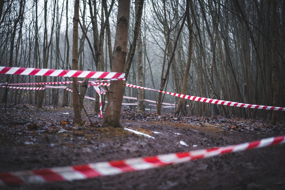 a red and white striped barricade next to a tree