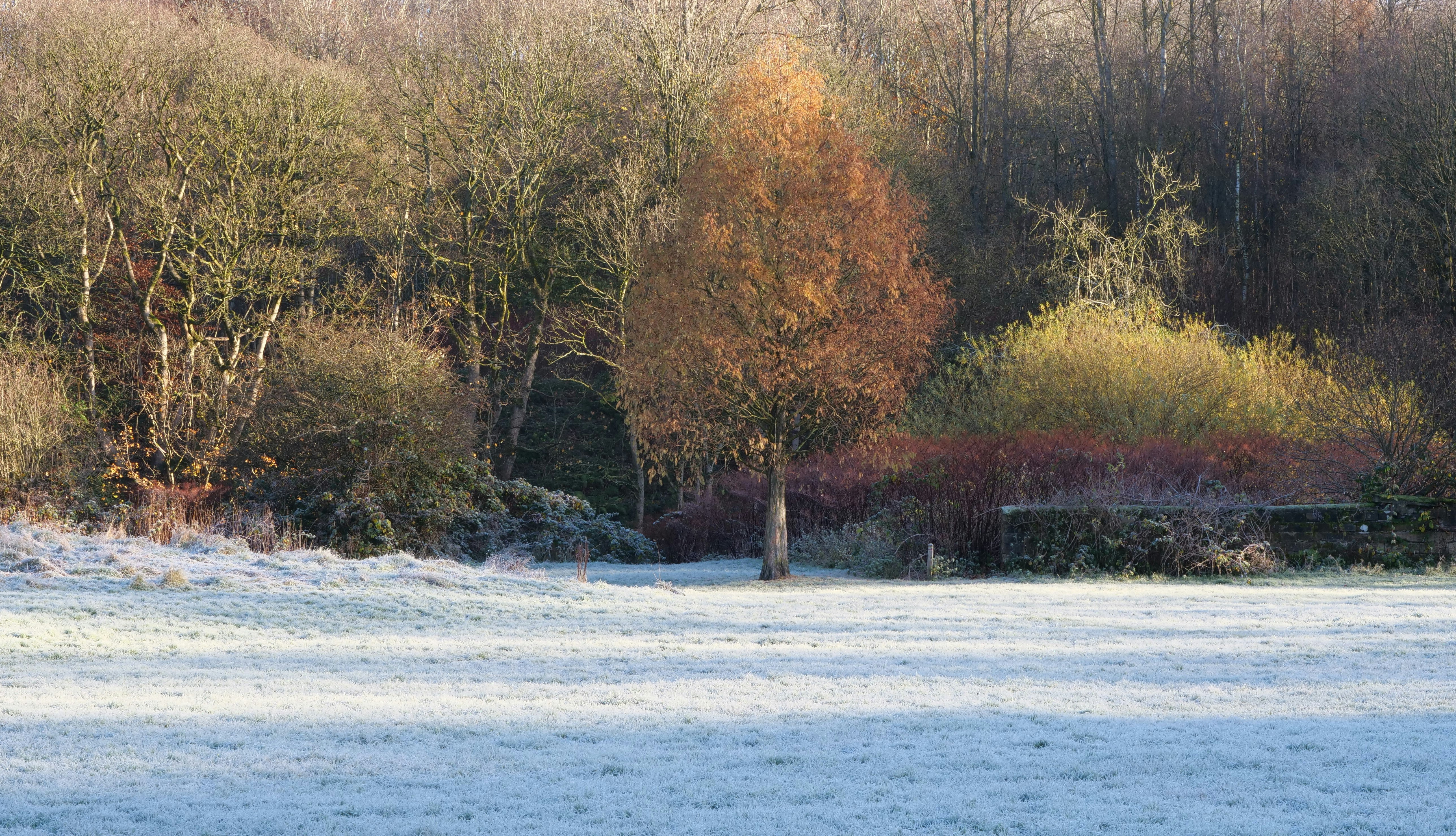 Photo by bryan151055