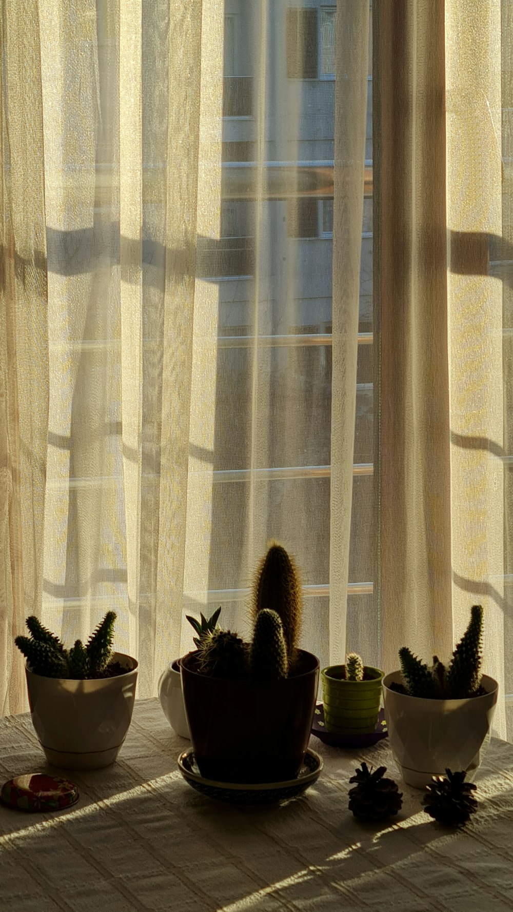 a window sill with three potted plants in front of it